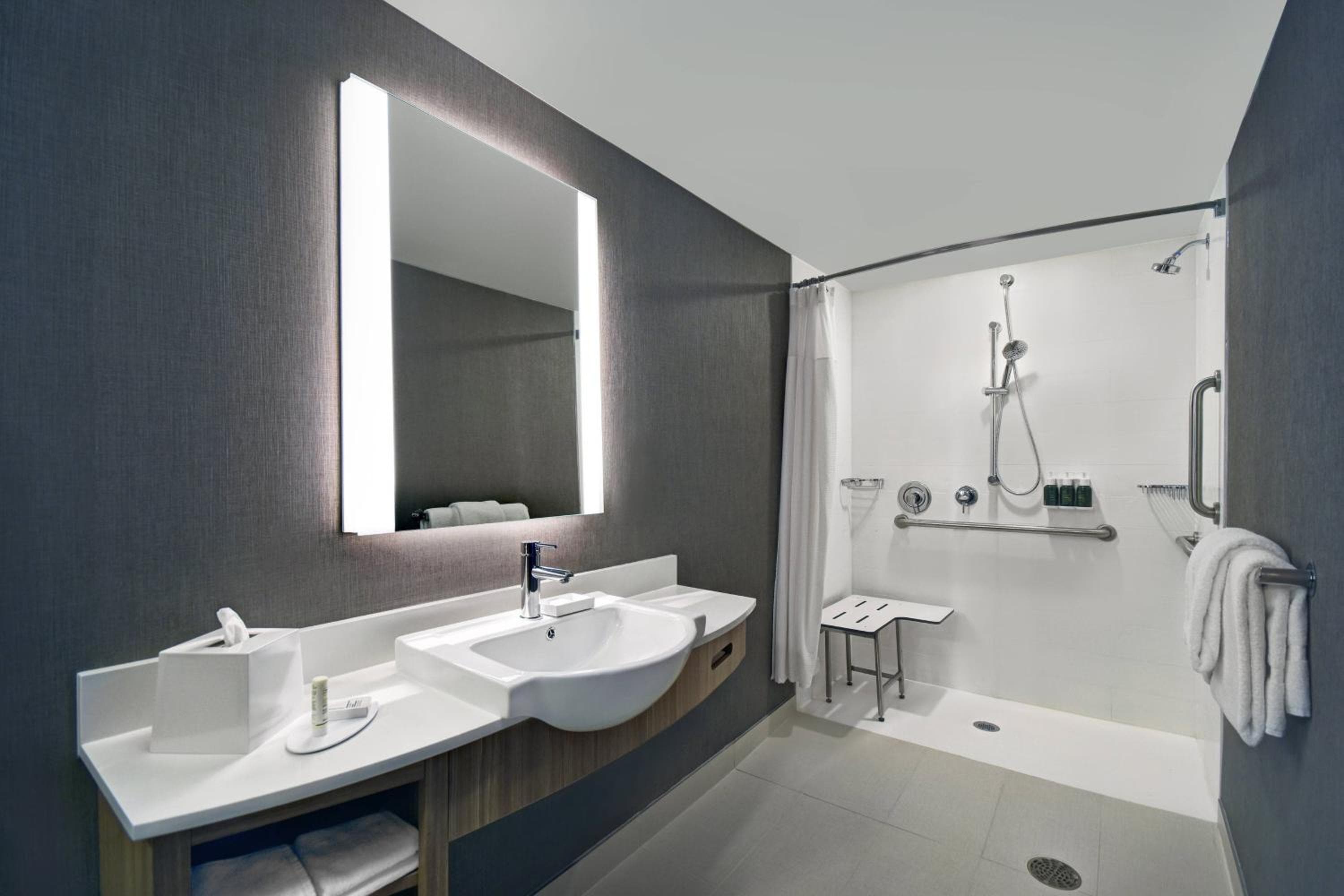 SpringHill Suites by Marriott St. Paul Arden Hills