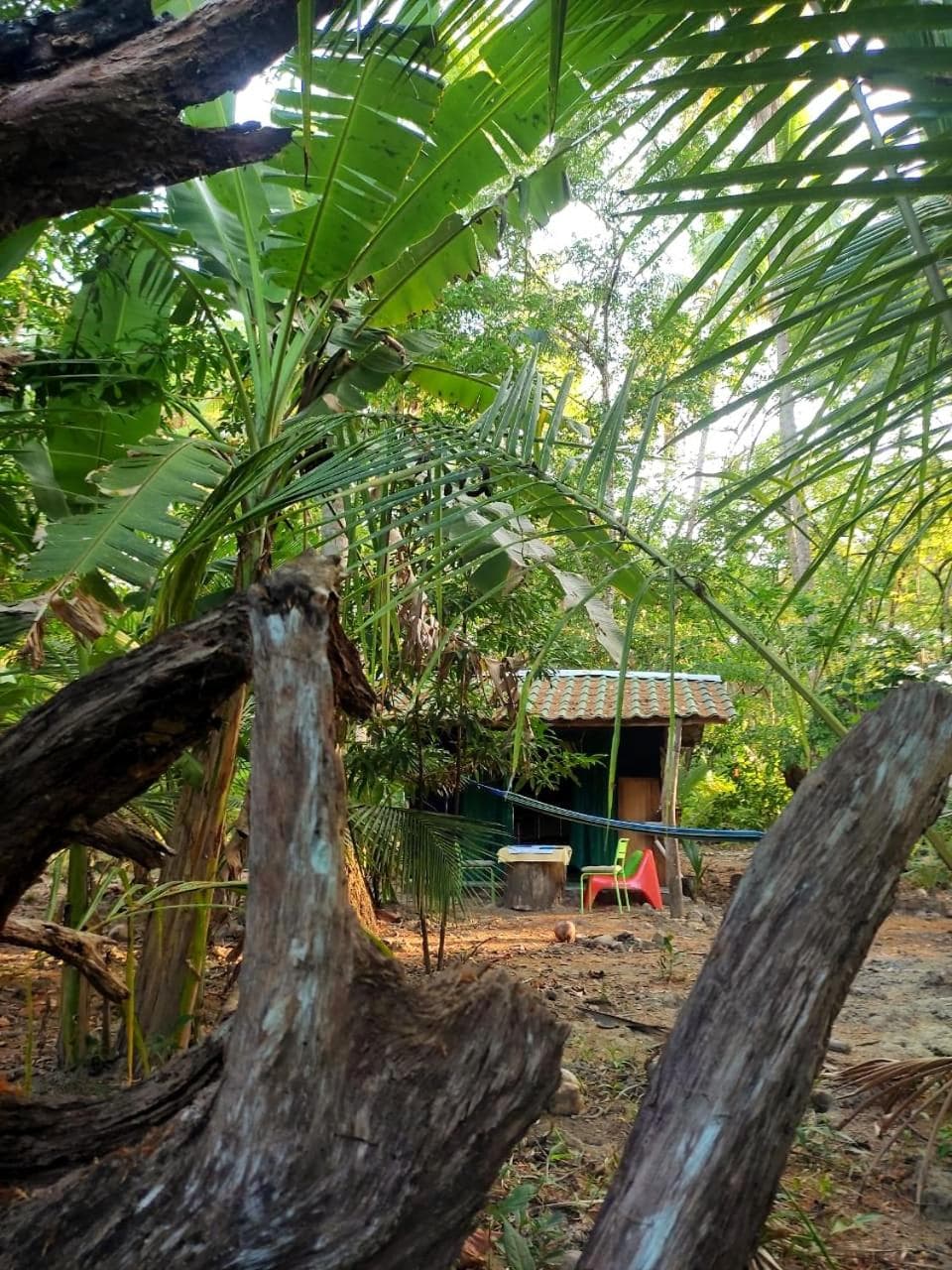 Jungle Tent 3x3, Latino Glamping & Tours, Paquera