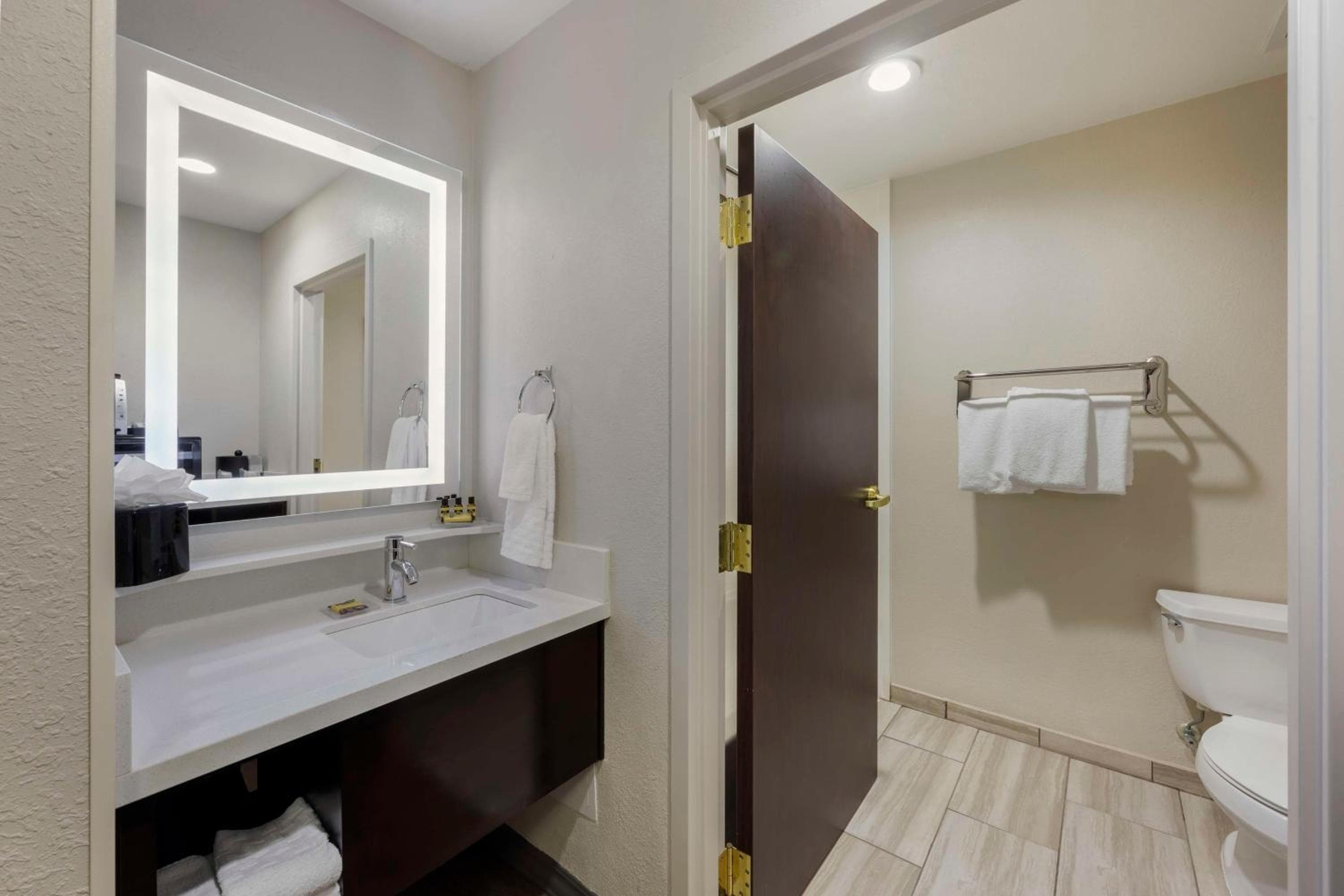 Best Western Plus Nashville Airport Hotel - BNA