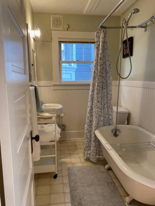 Historic Downtown Flat, # 1
