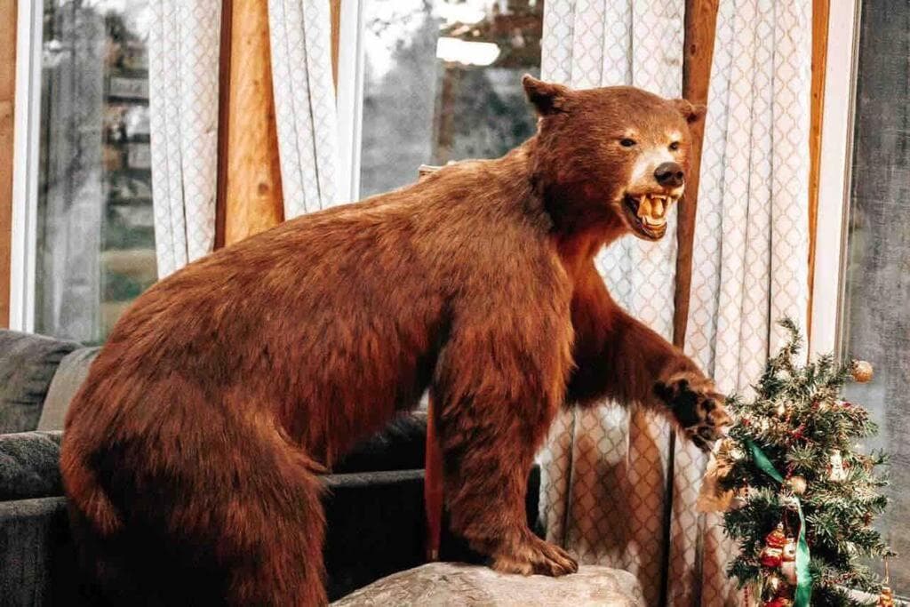 The Happy Bear Lodge