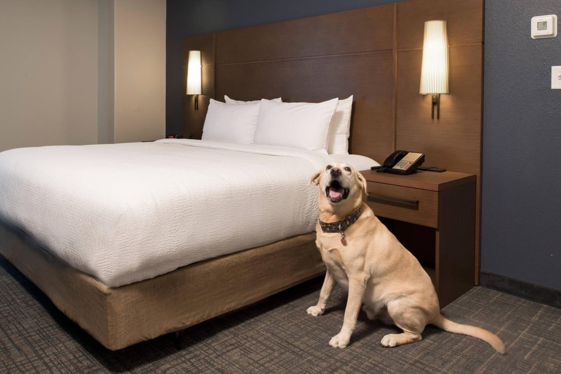 Residence Inn Memphis Downtown