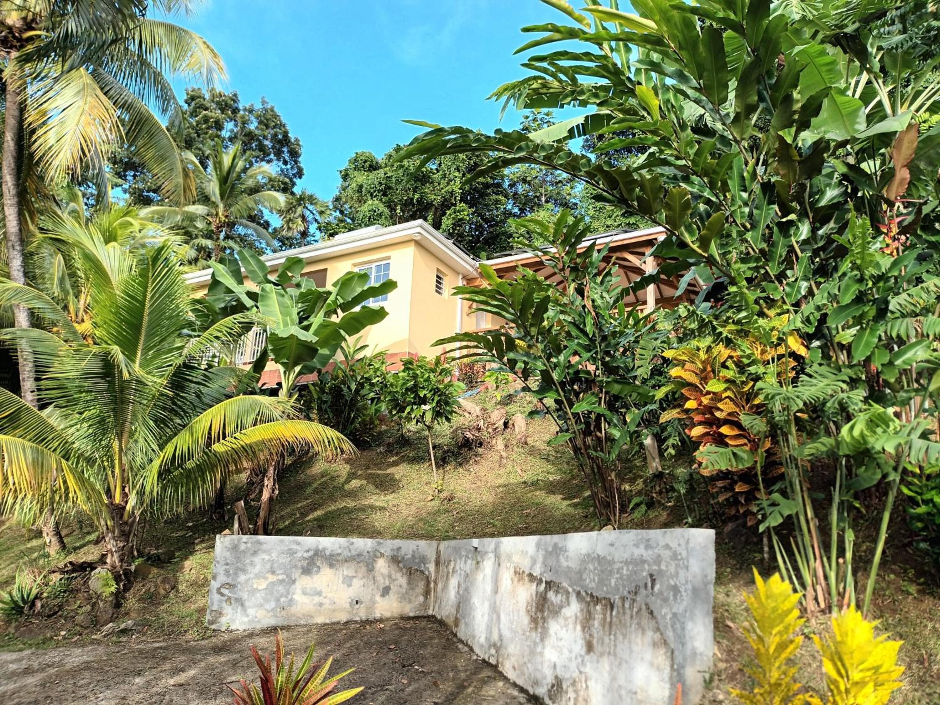 Martinique, la Ptite Maison dans la colline