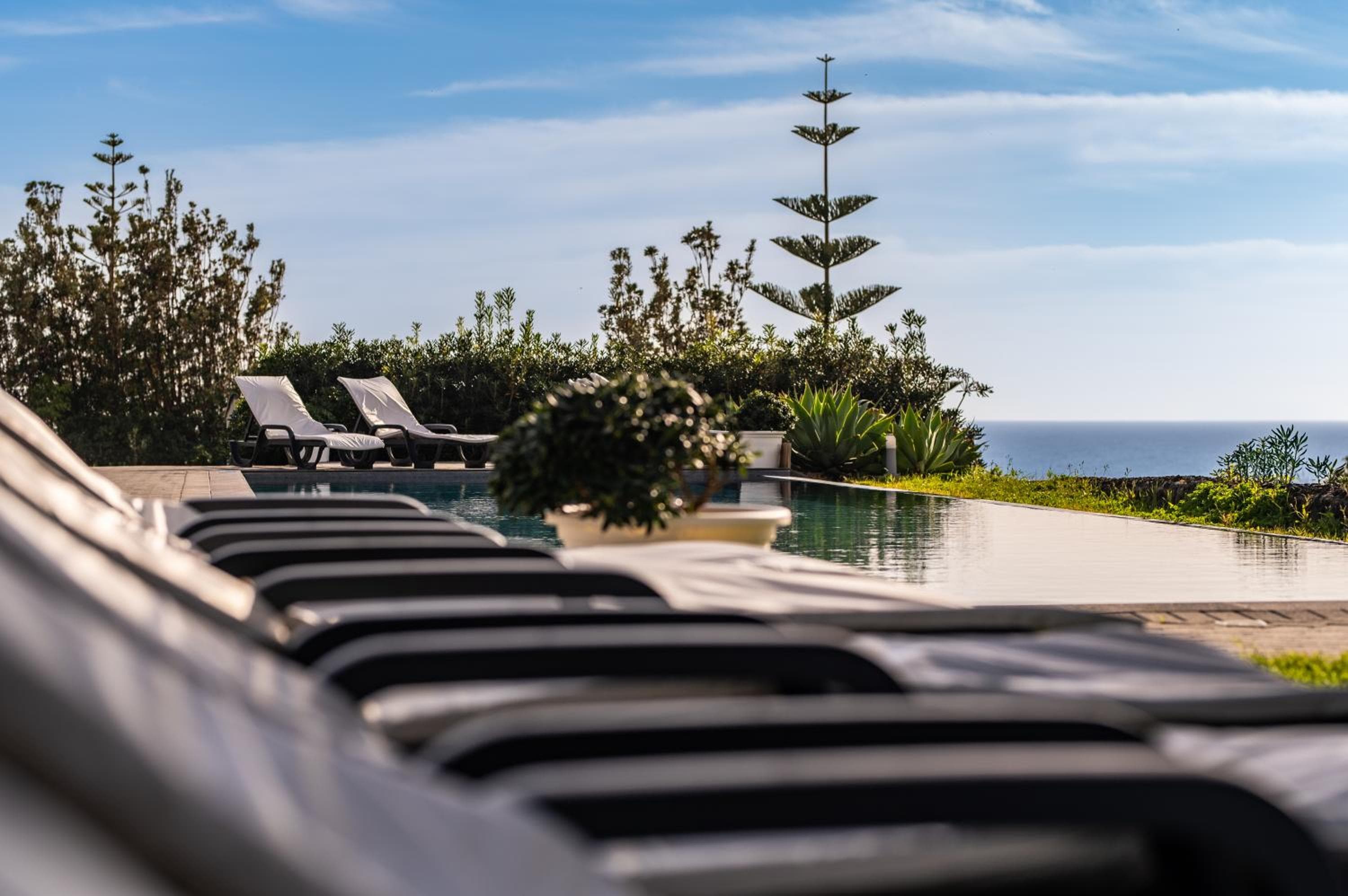 ANC Resort