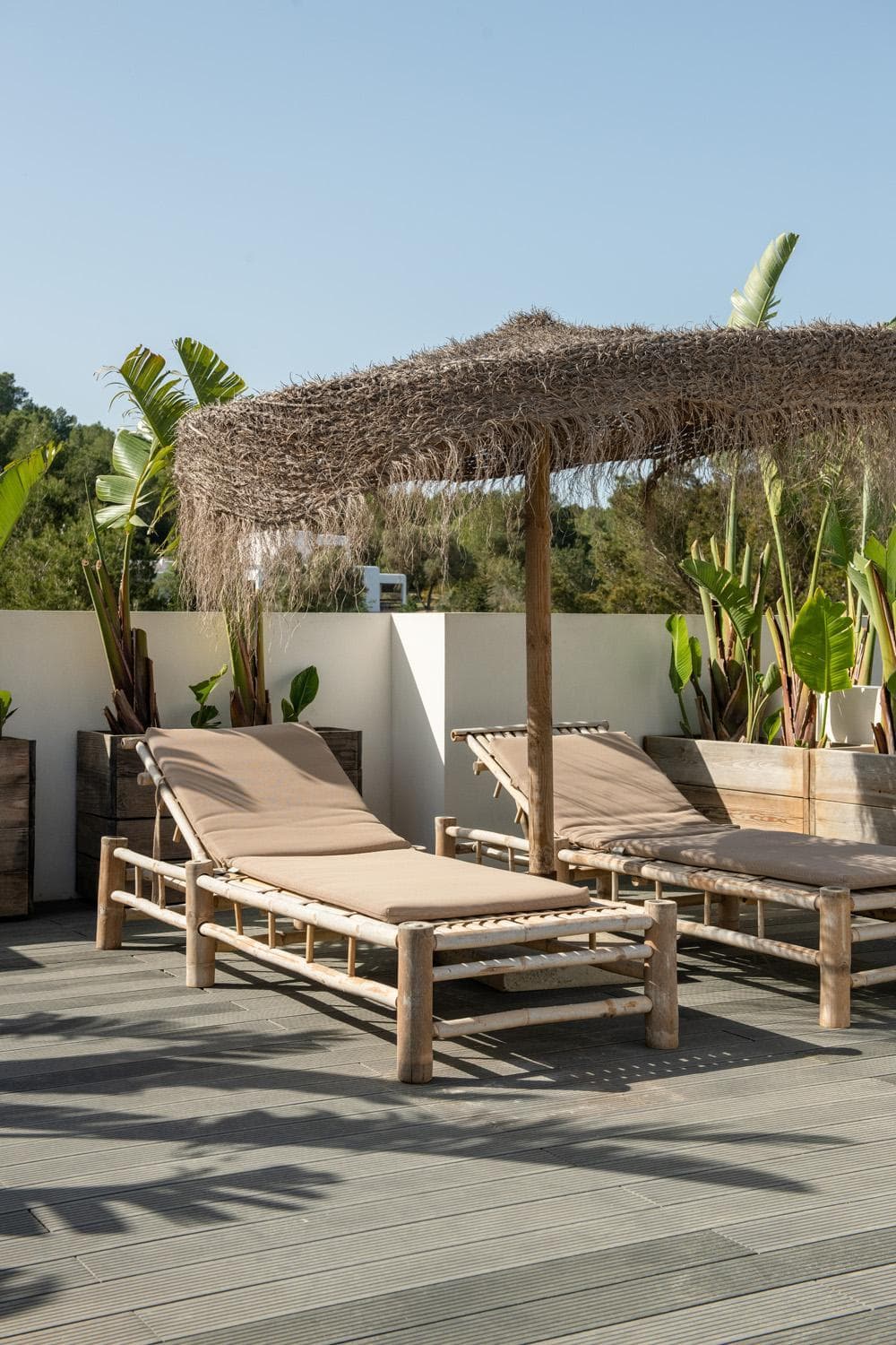 The Olive Boutique Suites & Spa