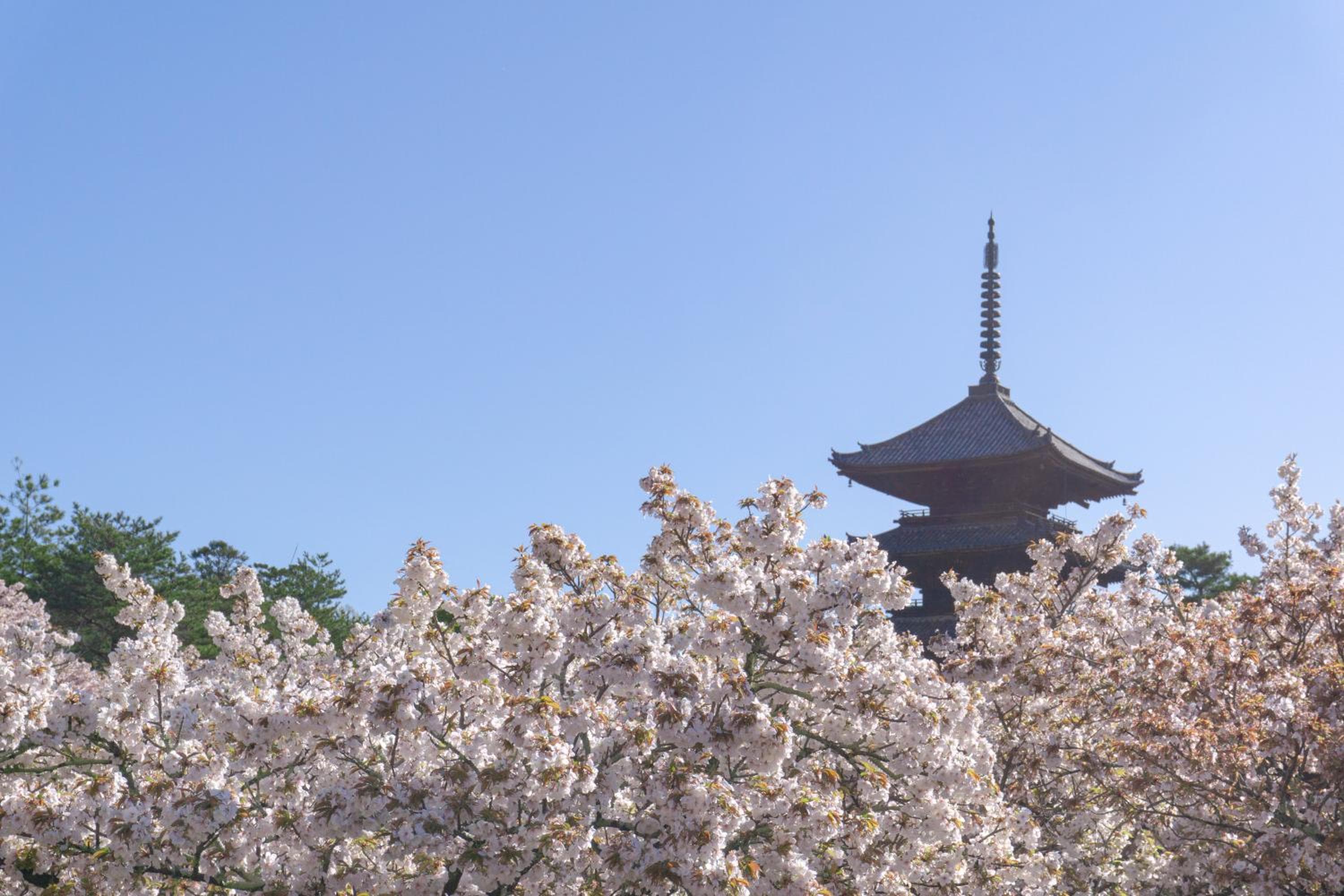 Tokyu Stay Kyoto Sanjo-Karasuma
