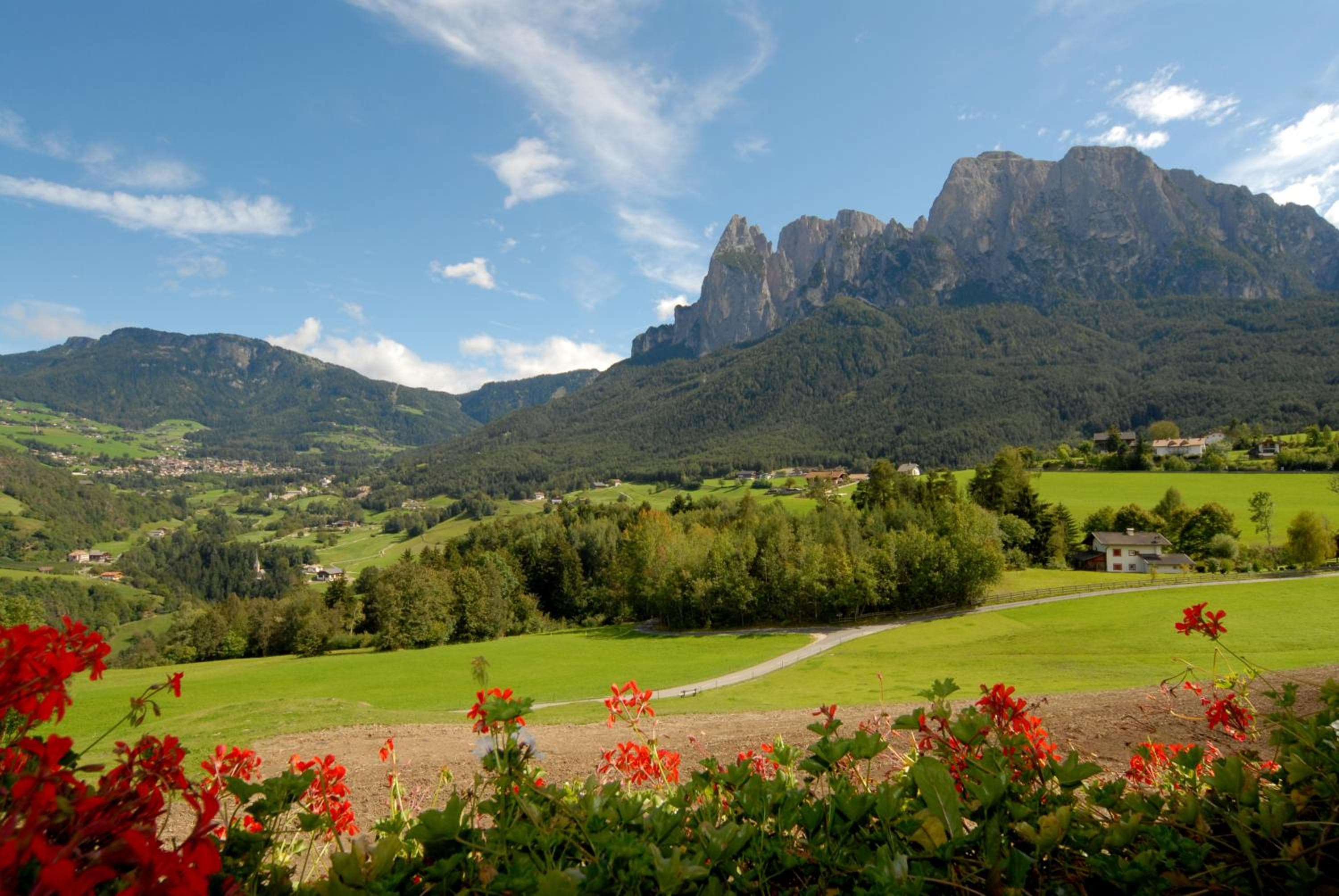 Mesnerhof my Paradise