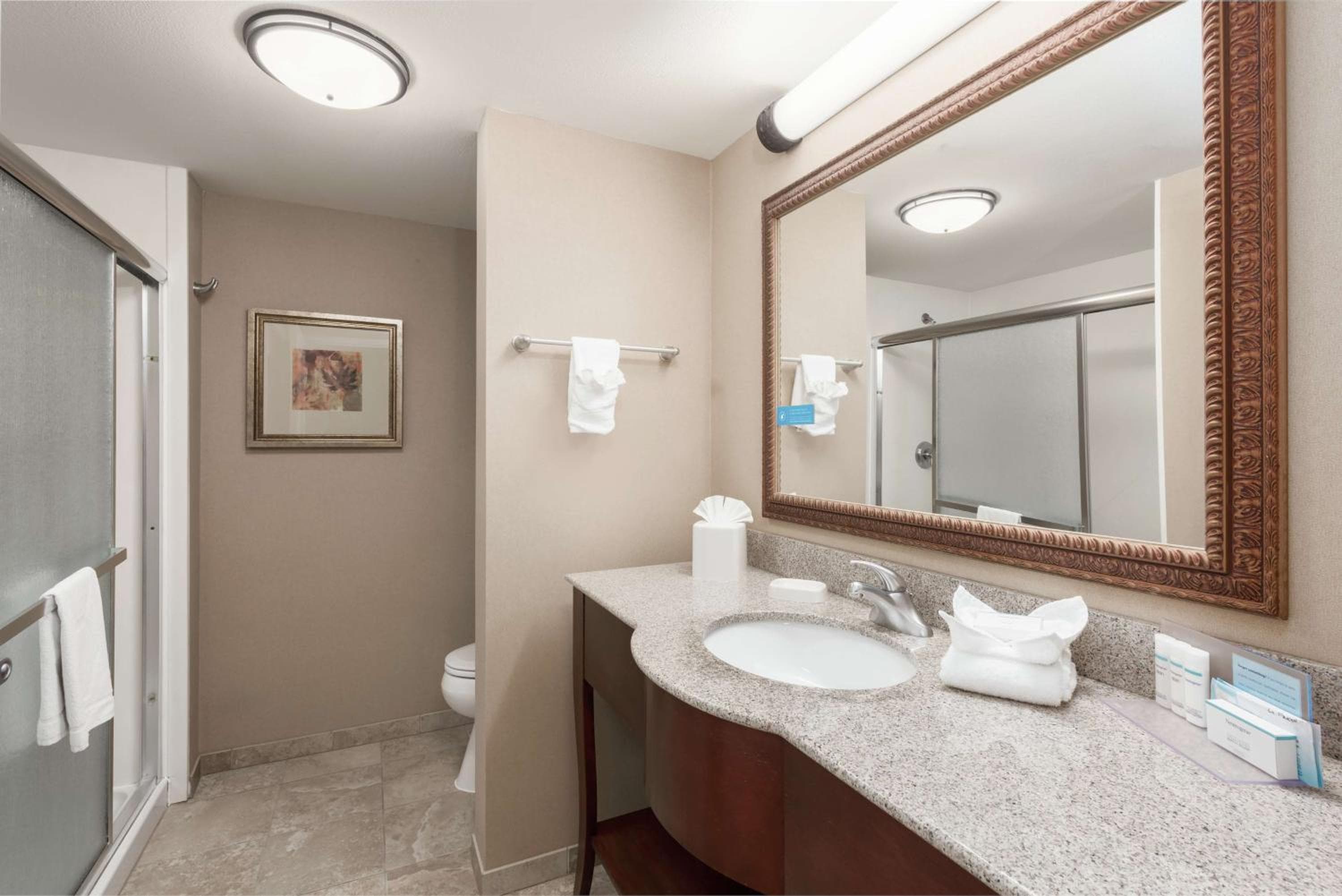 Hampton Inn Branson - Branson Hills