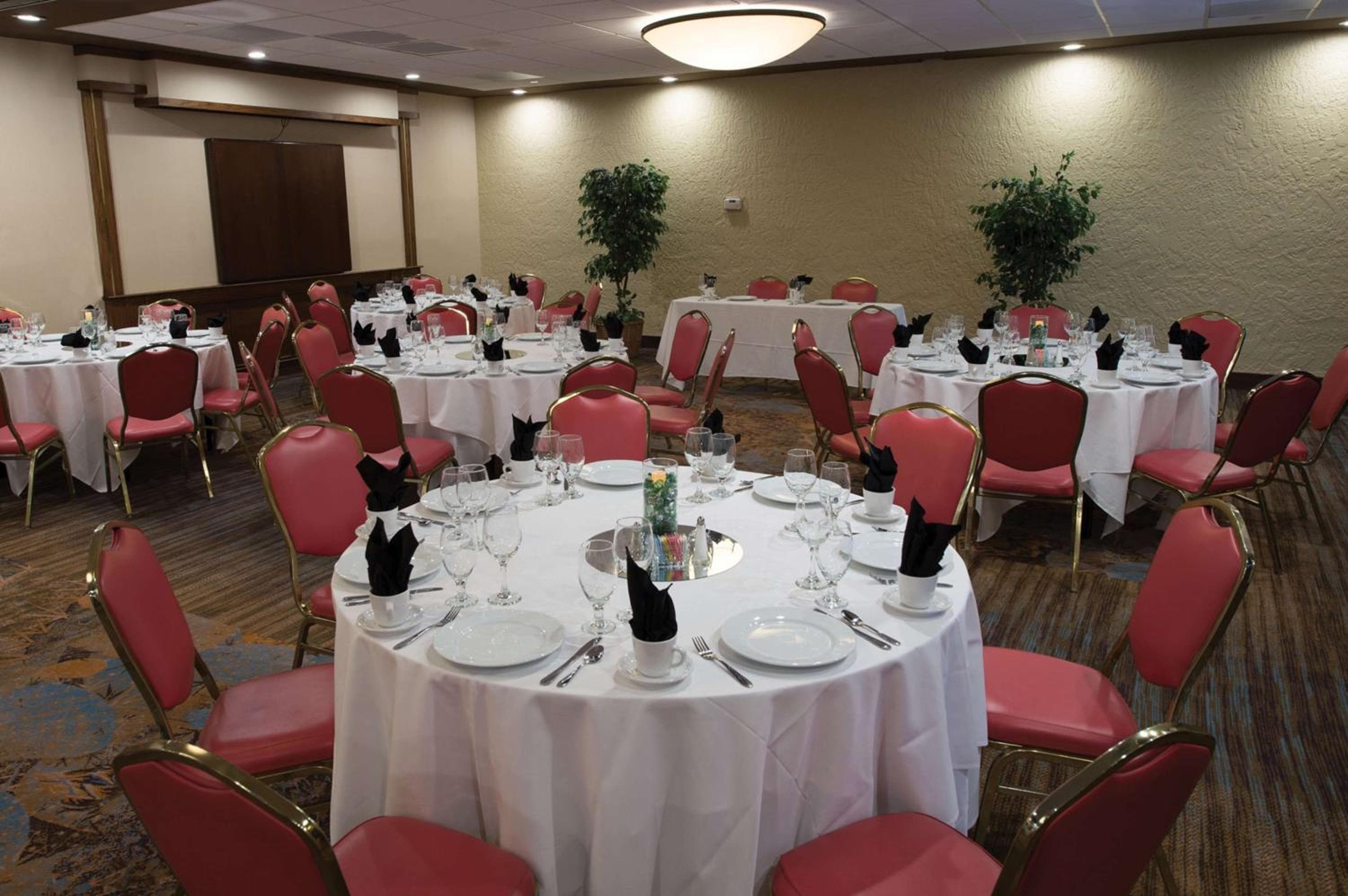 DoubleTree Suites by Hilton Tucson-Williams Center