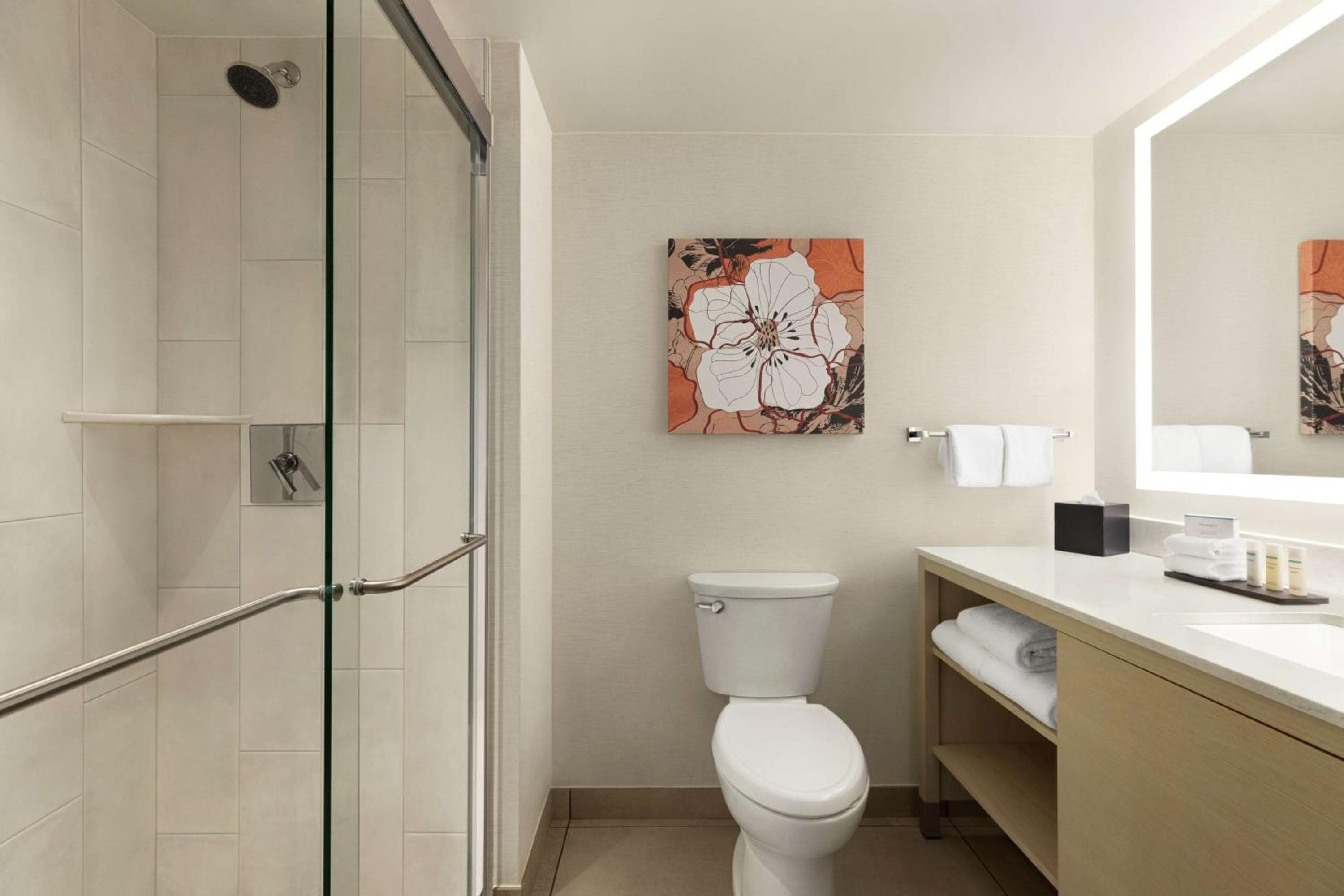 Embassy Suites by Hilton Denver International Airport
