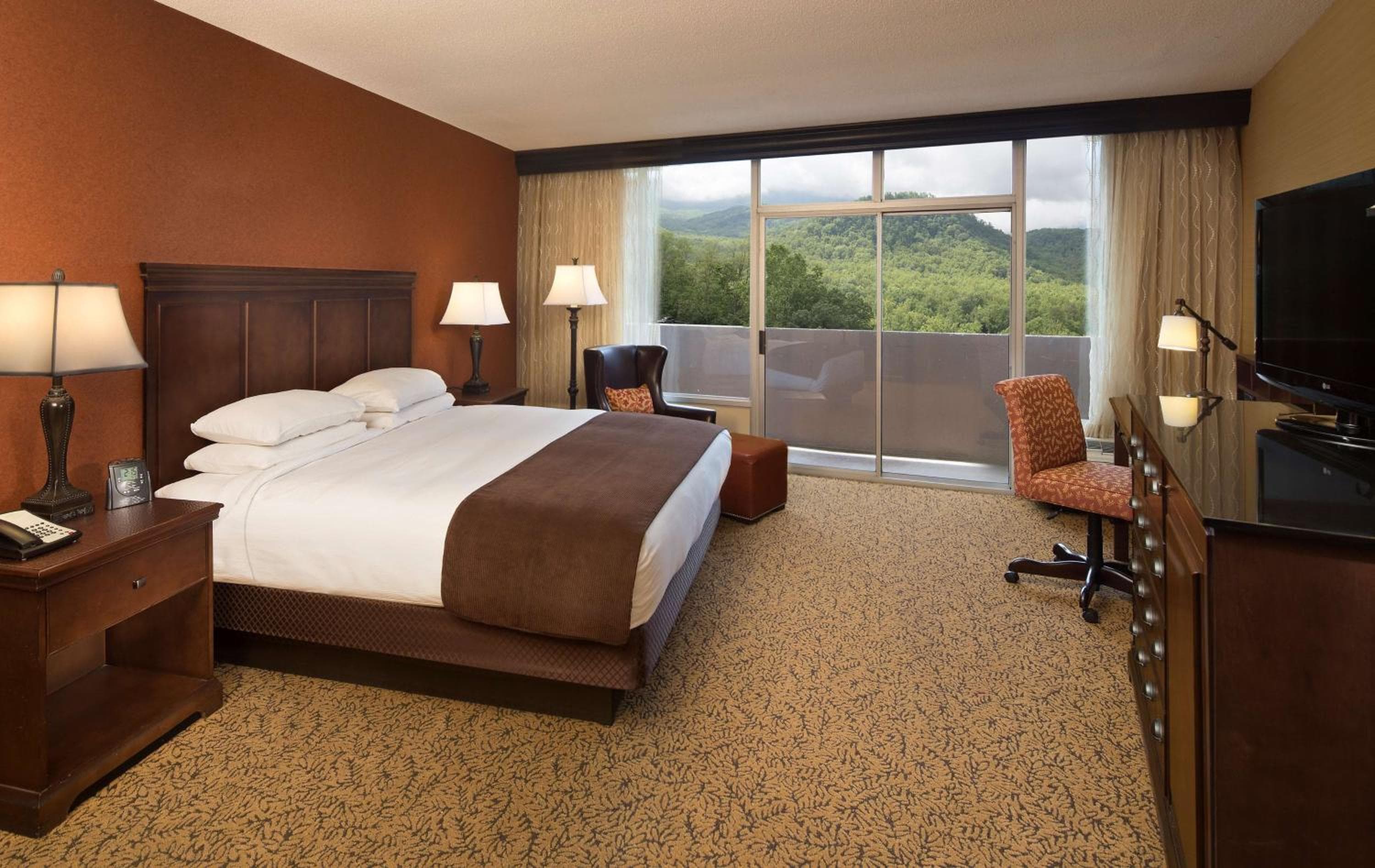 The Park Vista - A DoubleTree by Hilton Hotel - Gatlinburg