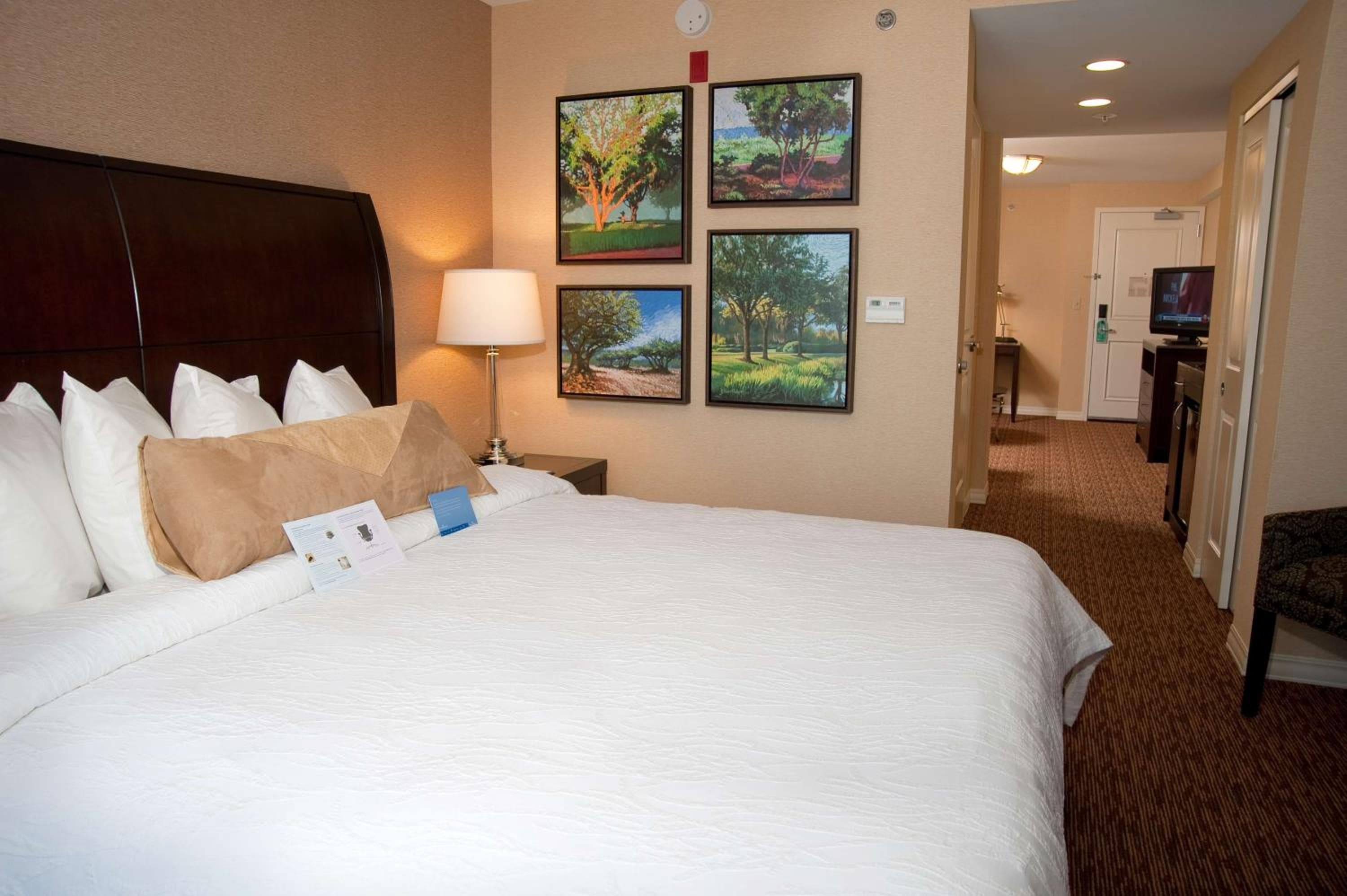 Hilton Garden Inn St. Louis Airport