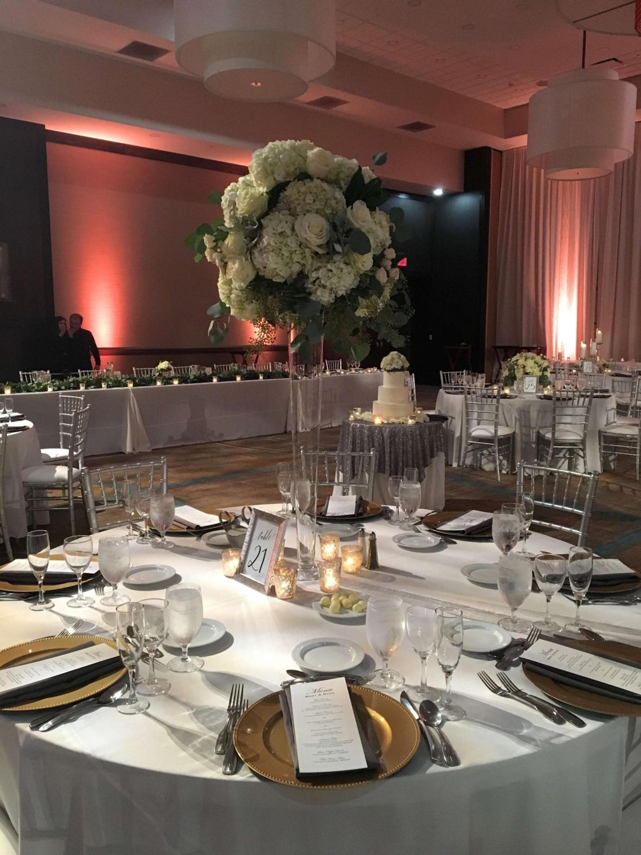 Embassy Suites by Hilton Chicago Naperville
