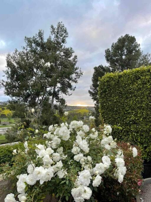 Breathtaking views, close to the ocean and canyon