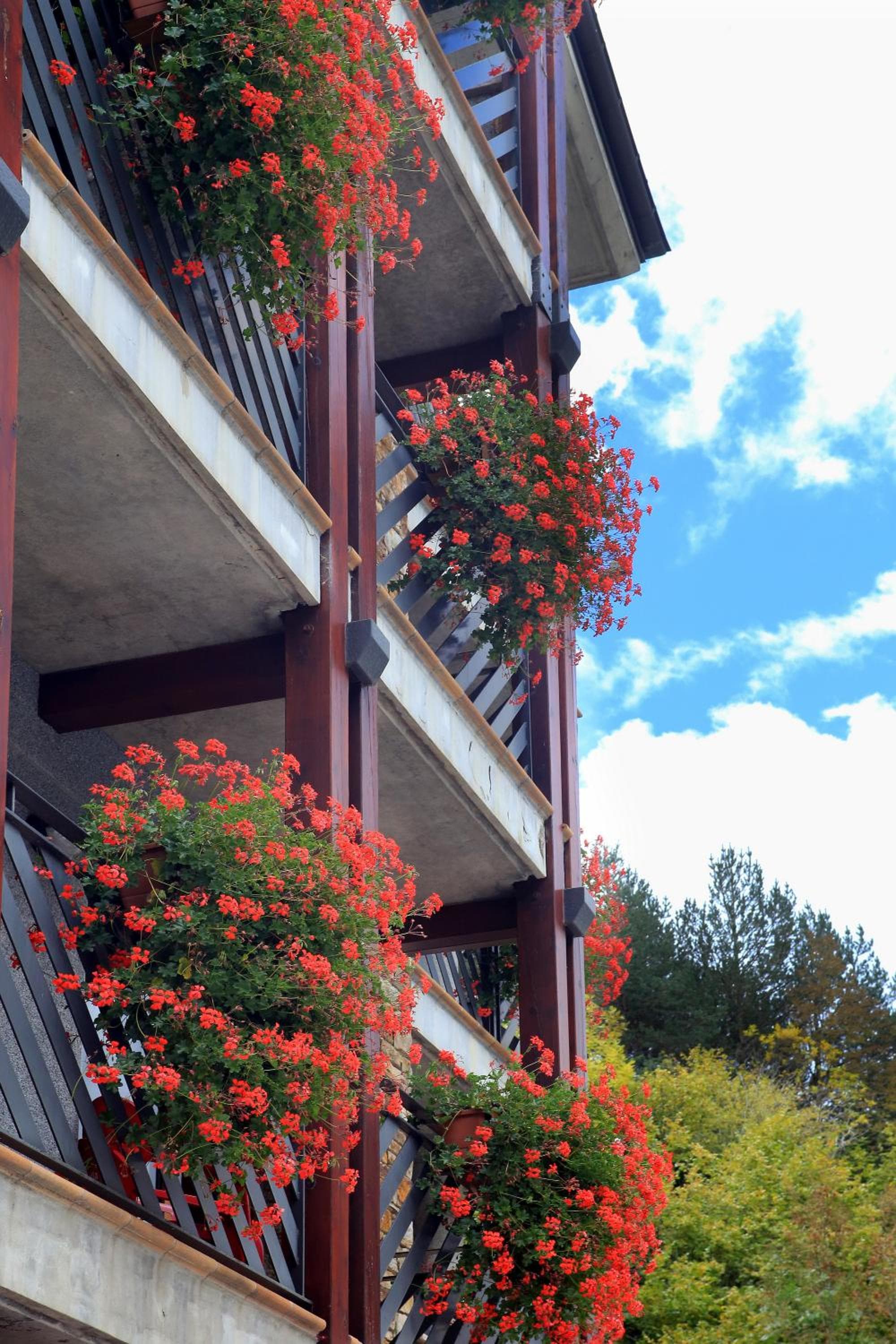 Vista Arinsal Apartments