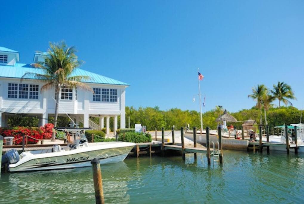 Welcome to the Pelican Lodge !