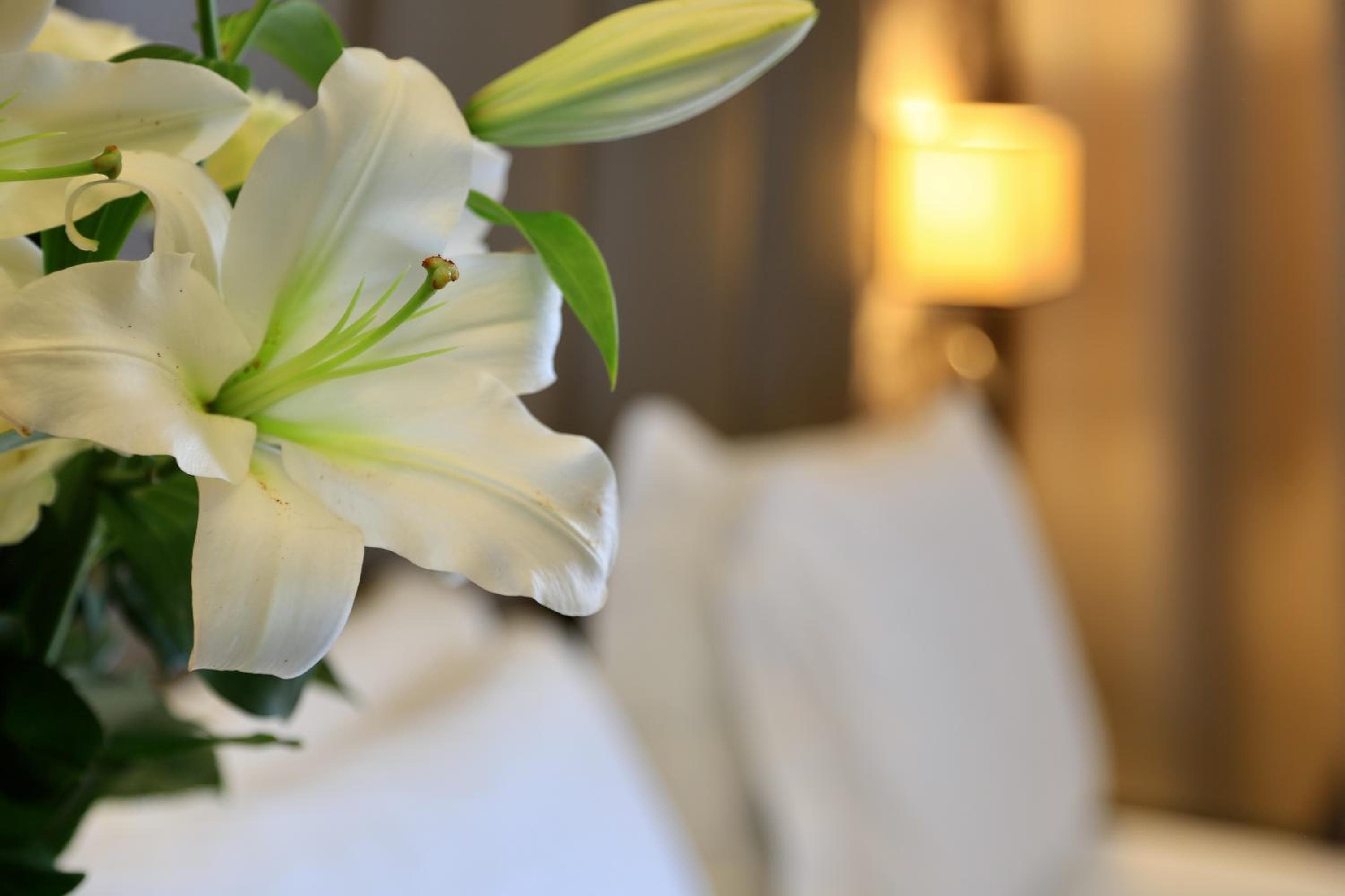 Klima Hotel Milano Fiere