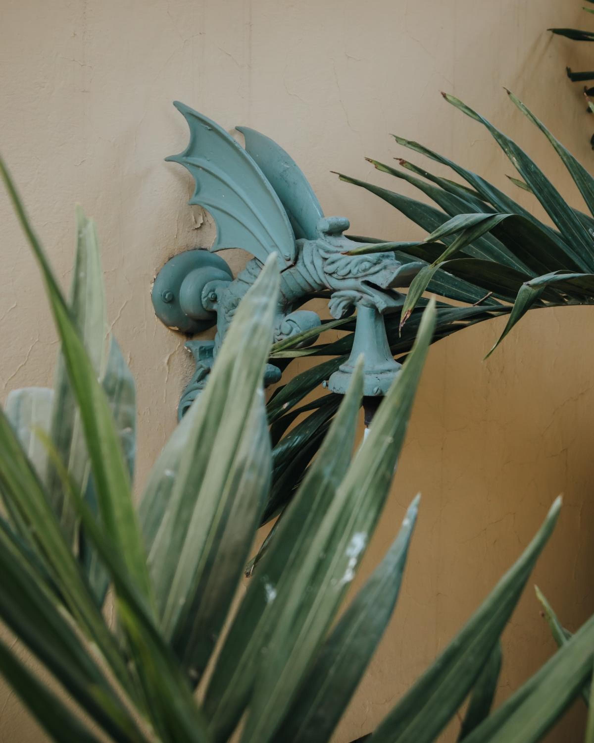Casa Florida