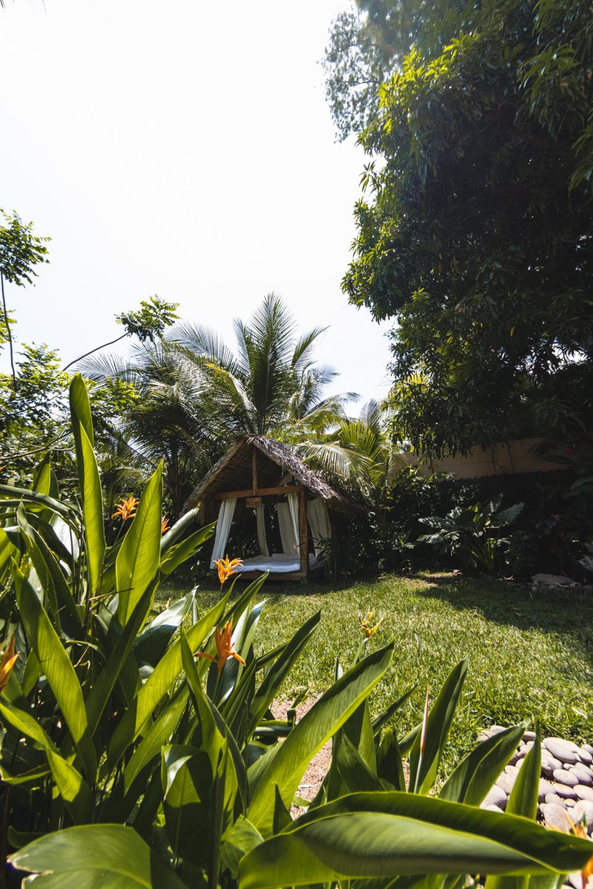 Hotel Michanti