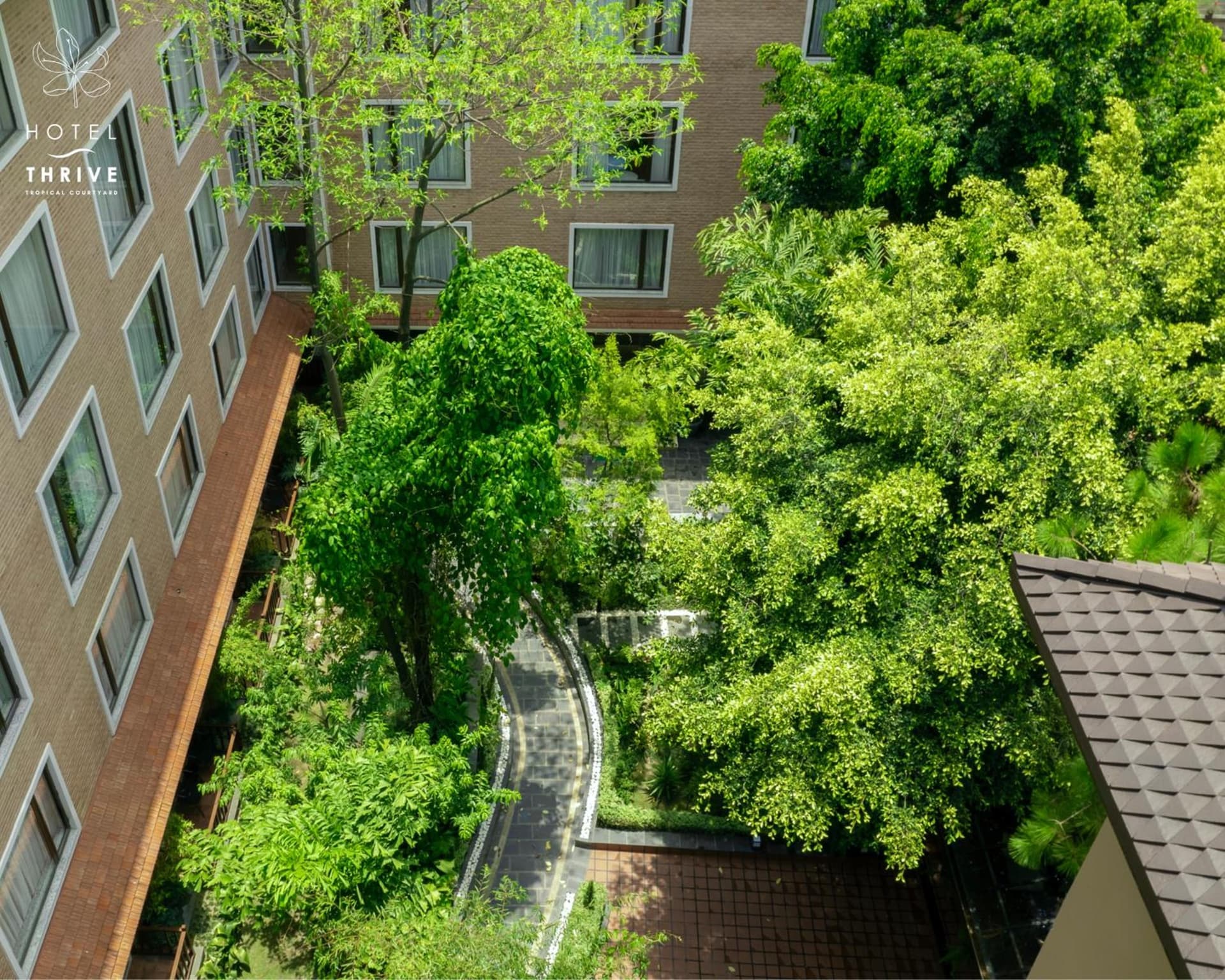 Hotel Thrive, A Tropical Courtyard
