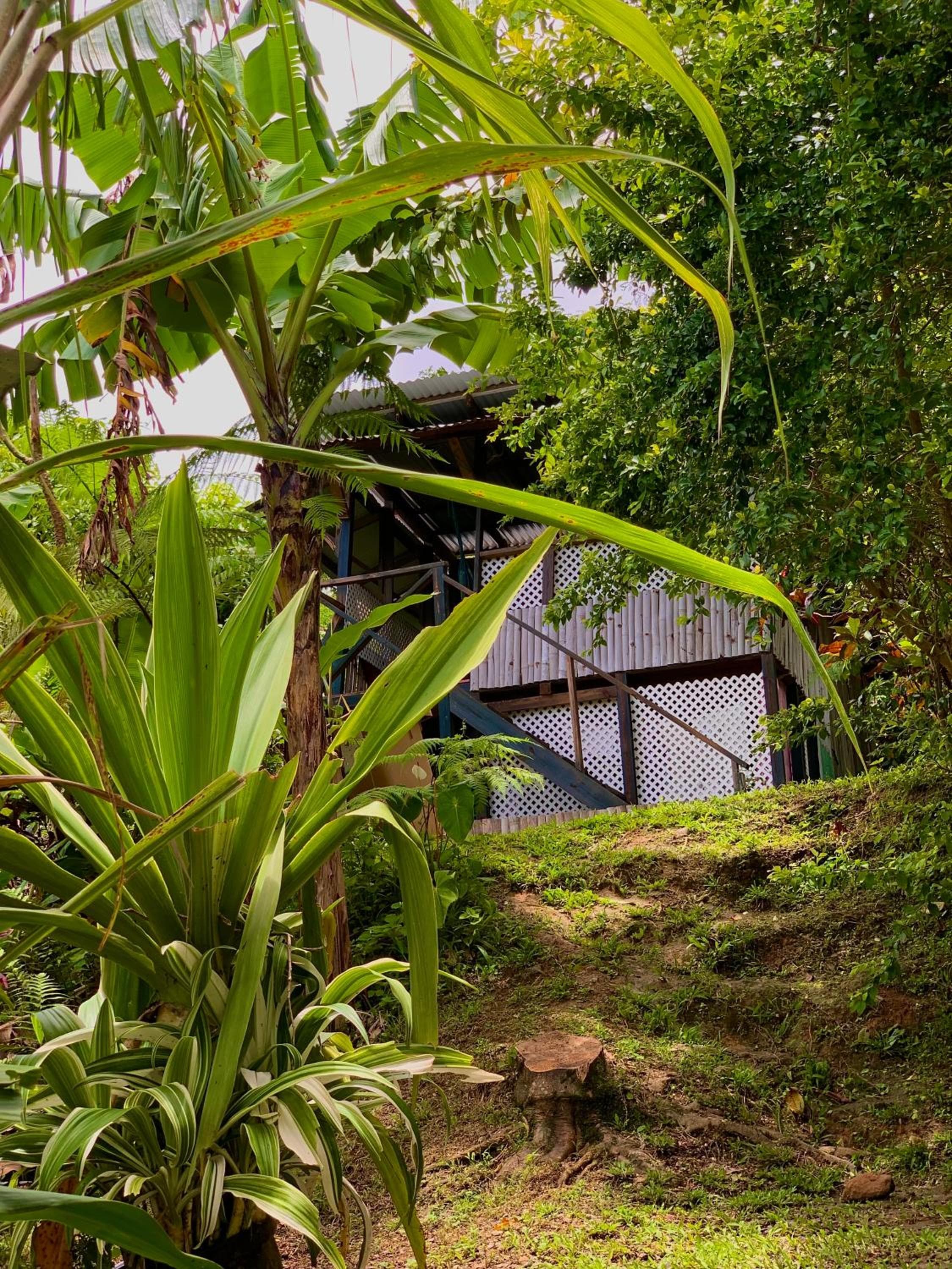 Le Petit Paradis