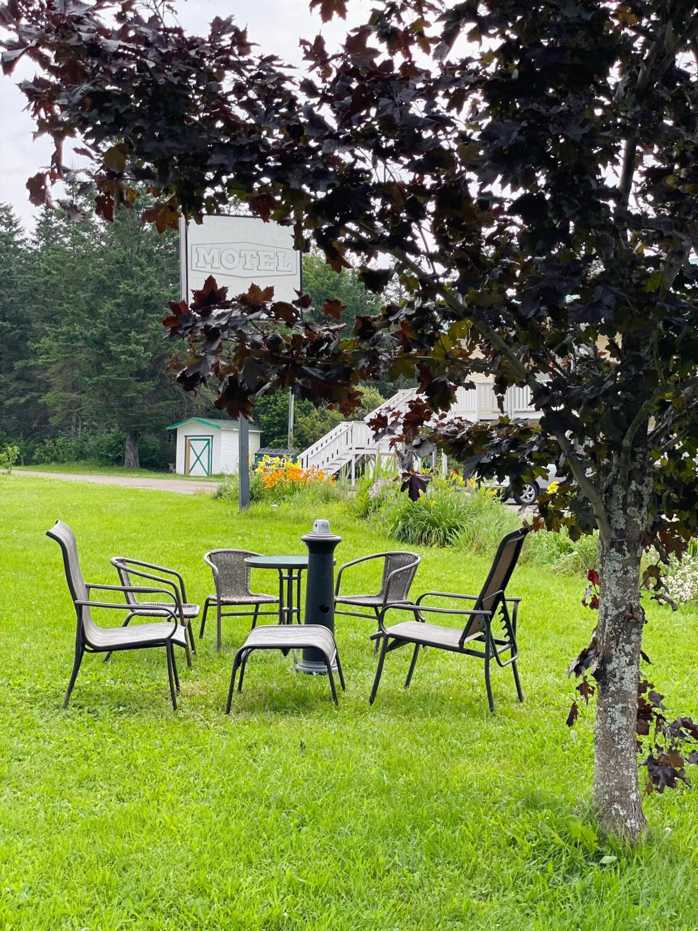 Scenic Motel Moncton