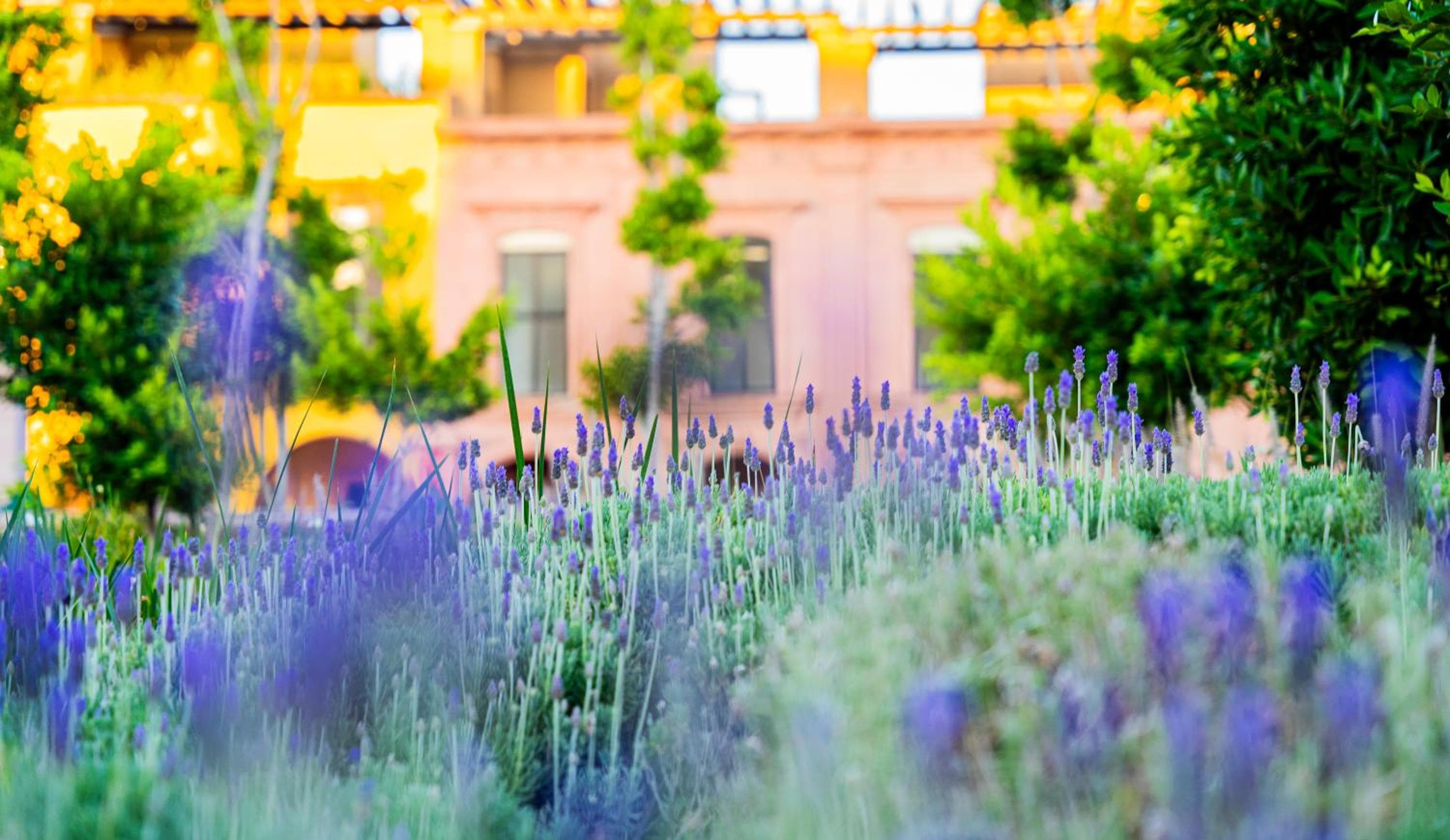 Krystal Grand Residences San Miguel de Allende