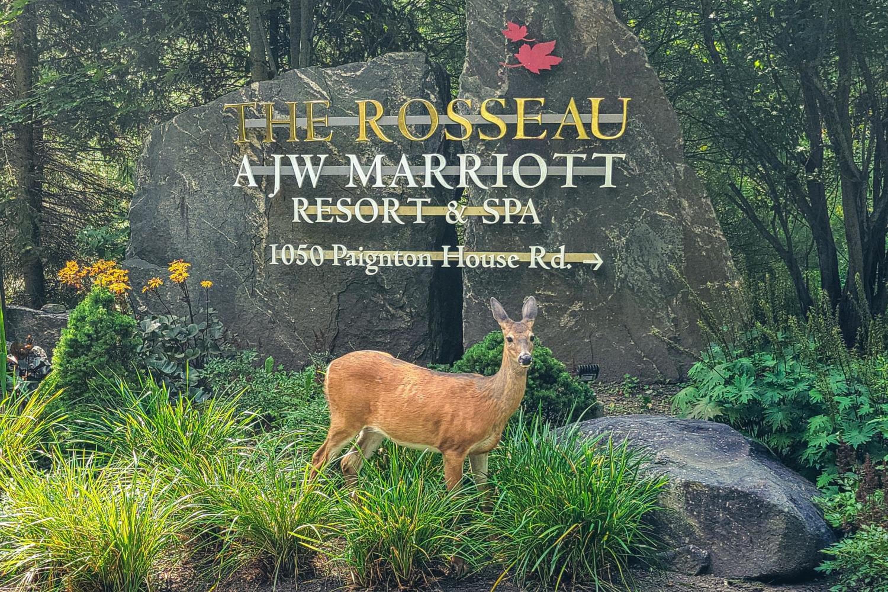 JW Marriott The Rosseau Muskoka Resort & Spa