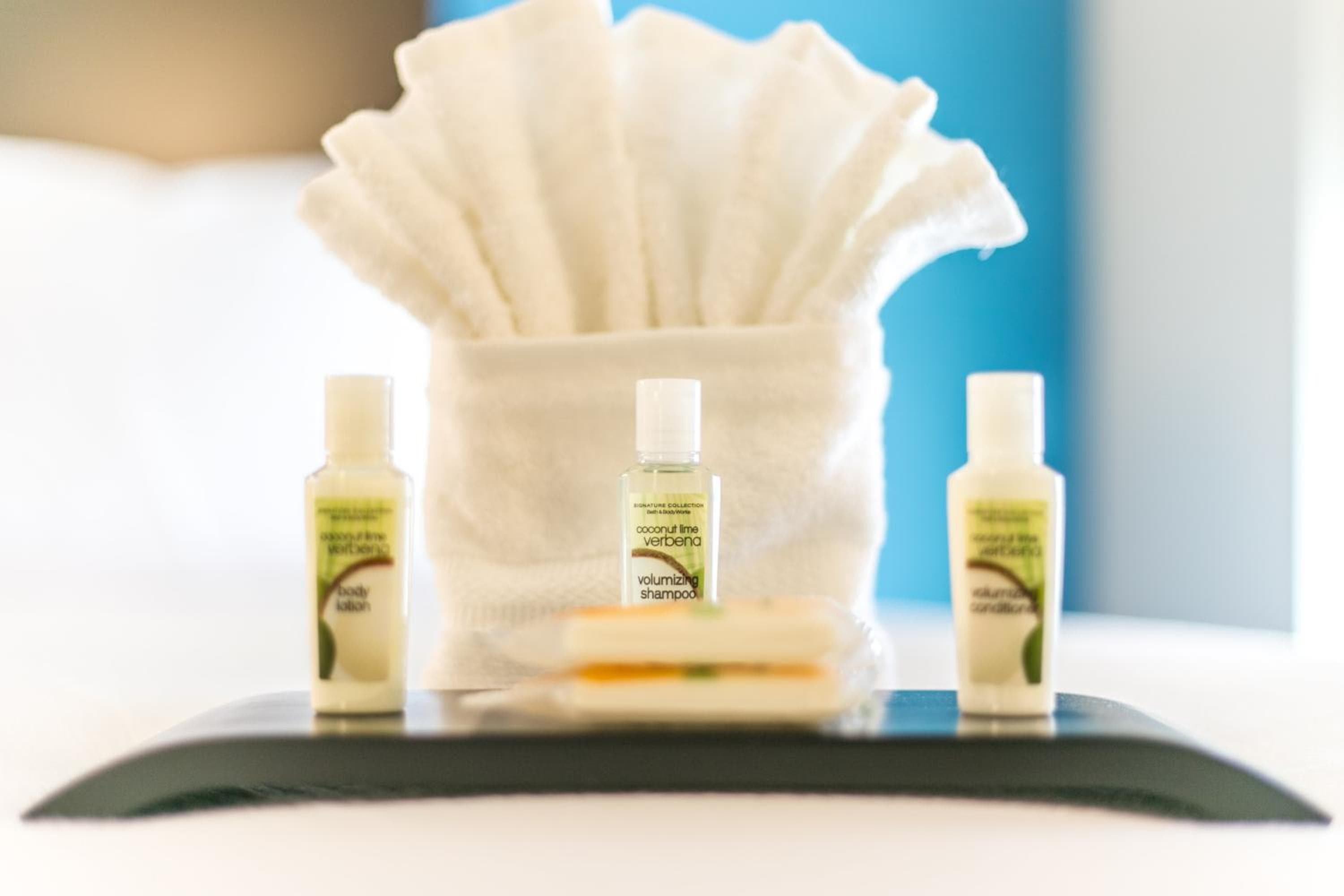Holiday Inn & Suites Chattanooga Downtown by IHG