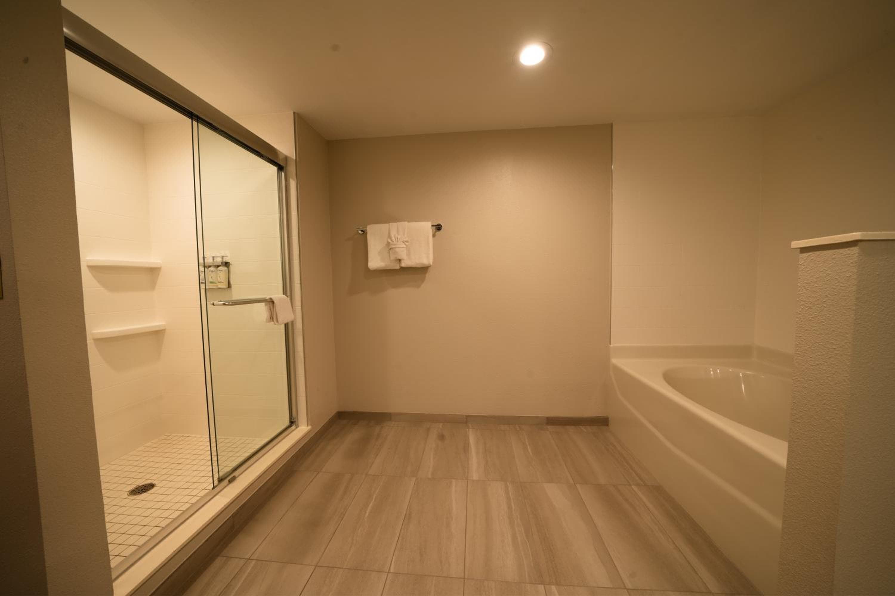 Holiday Inn Express Hotel & Suites Tampa-Oldsmar by IHG