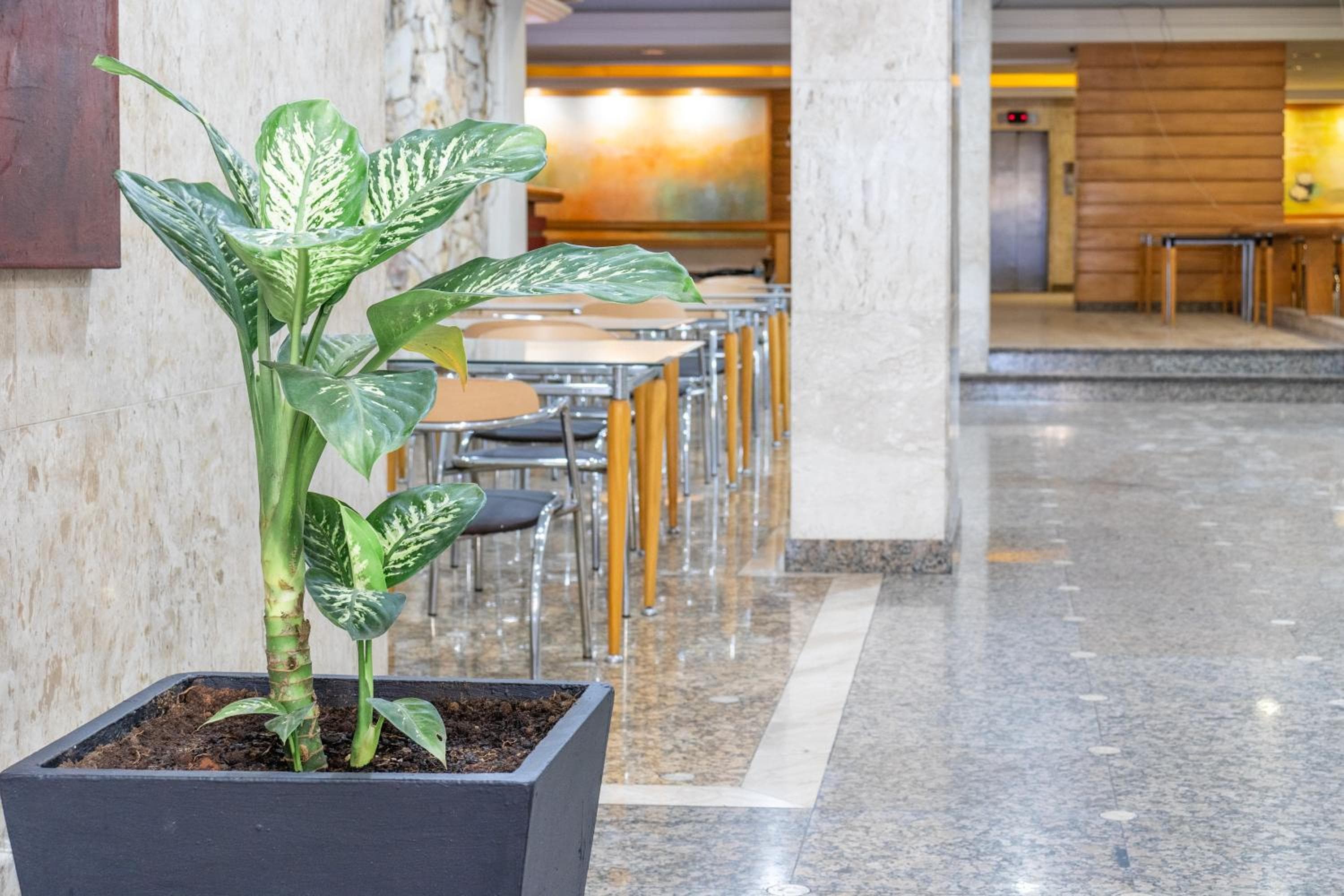 Braston Augusta Hotel by Castelo Itaipava