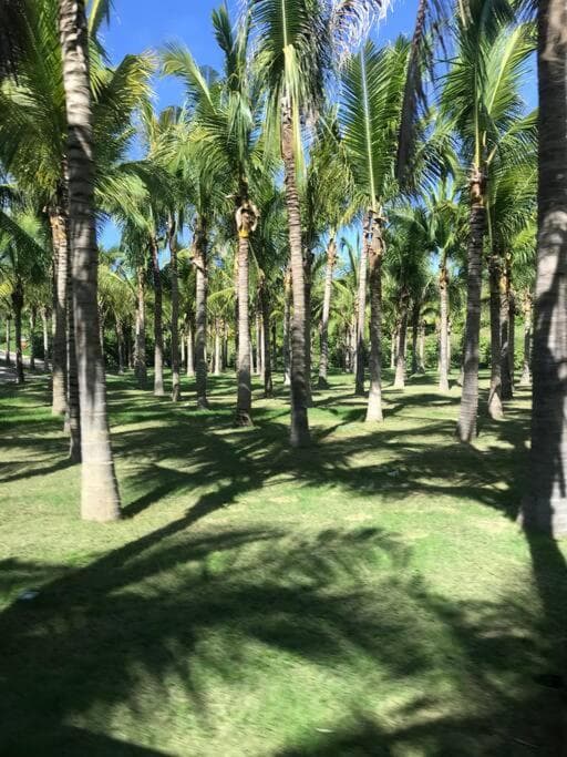 Luxury Modern Punta Mita Condo 3 bdrm, sleeps 8 with Golf access