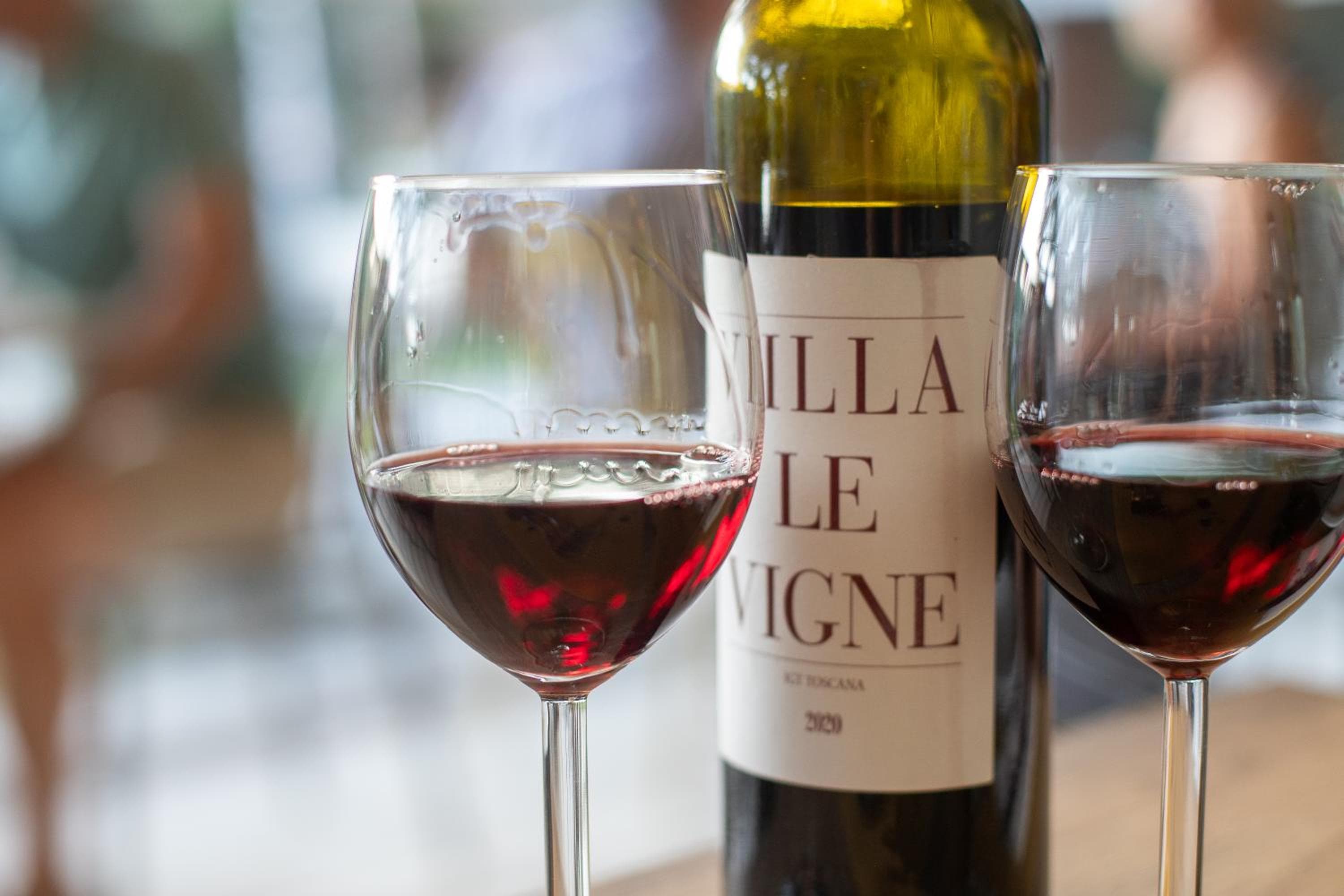 Agriturismo Villa Le Vigne