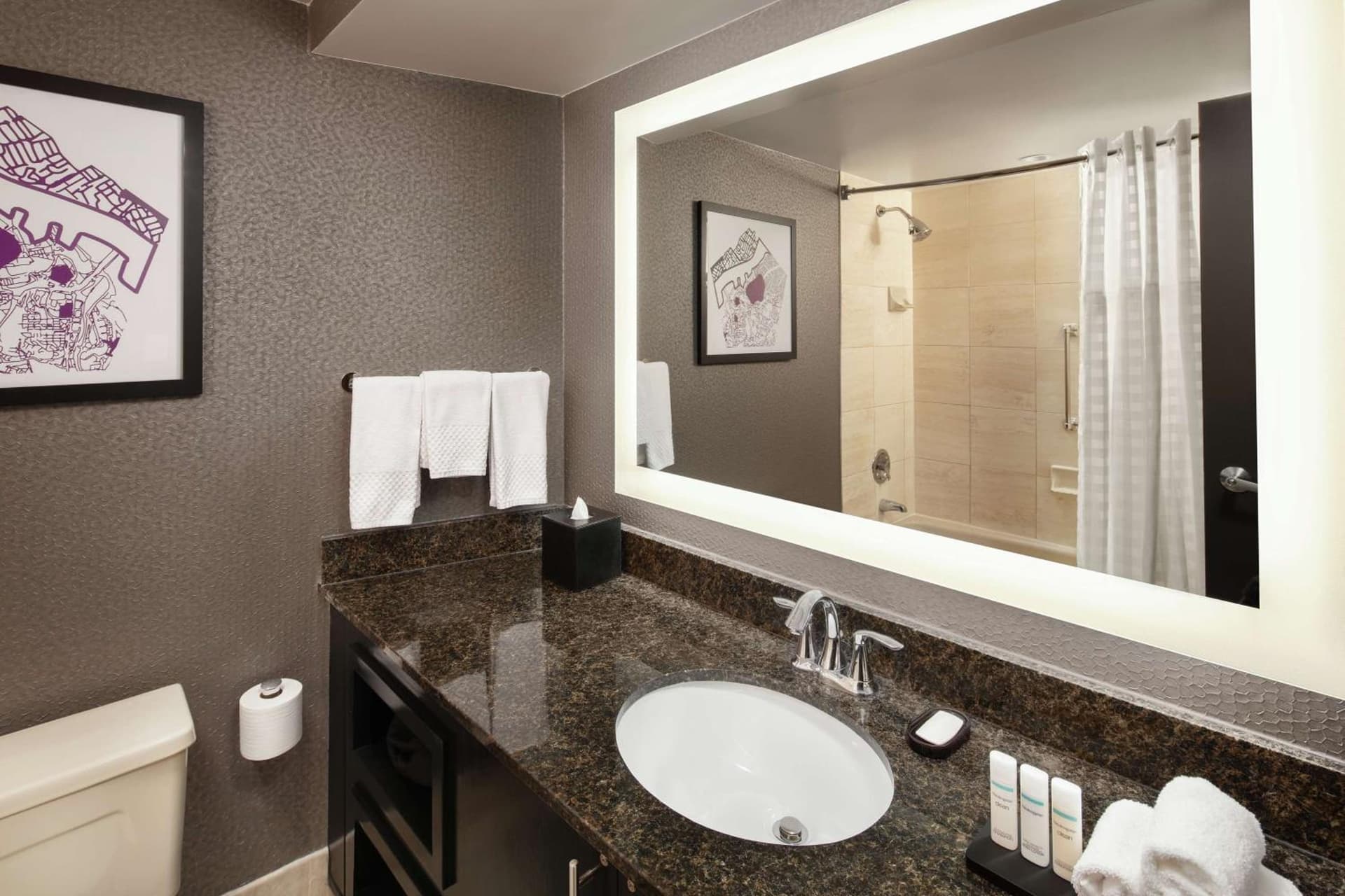 Embassy Suites by Hilton Crystal City National Airport