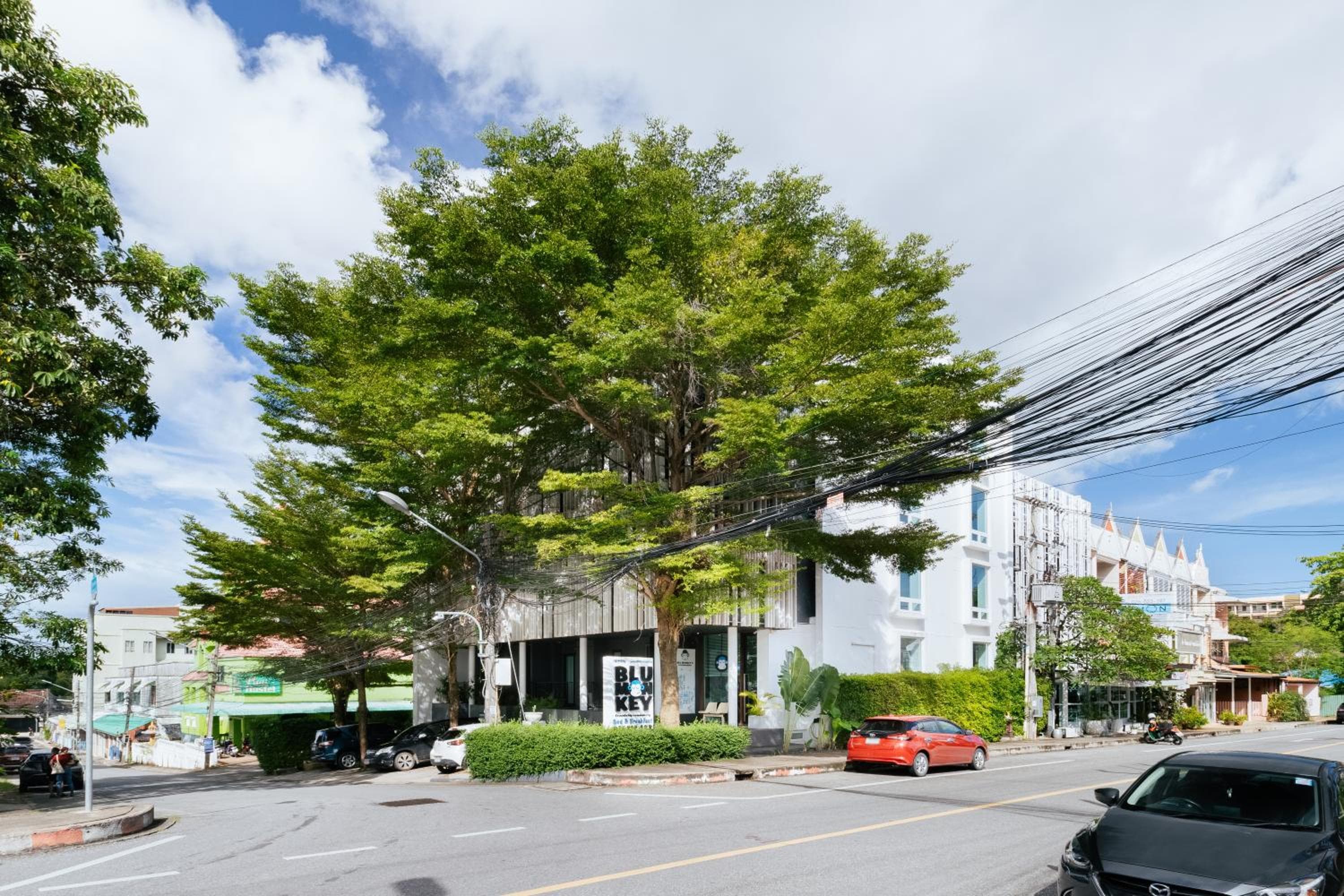 Blu Monkey Boutique Samkong, formerly Blu Monkey Bed & Breakfast Phuket