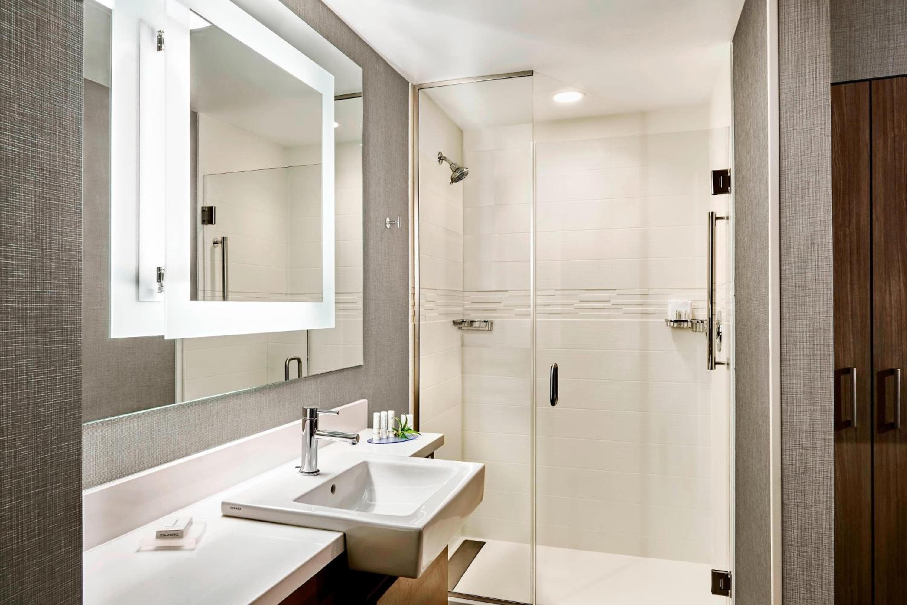 SpringHill Suites Atlanta Alpharetta/Roswell