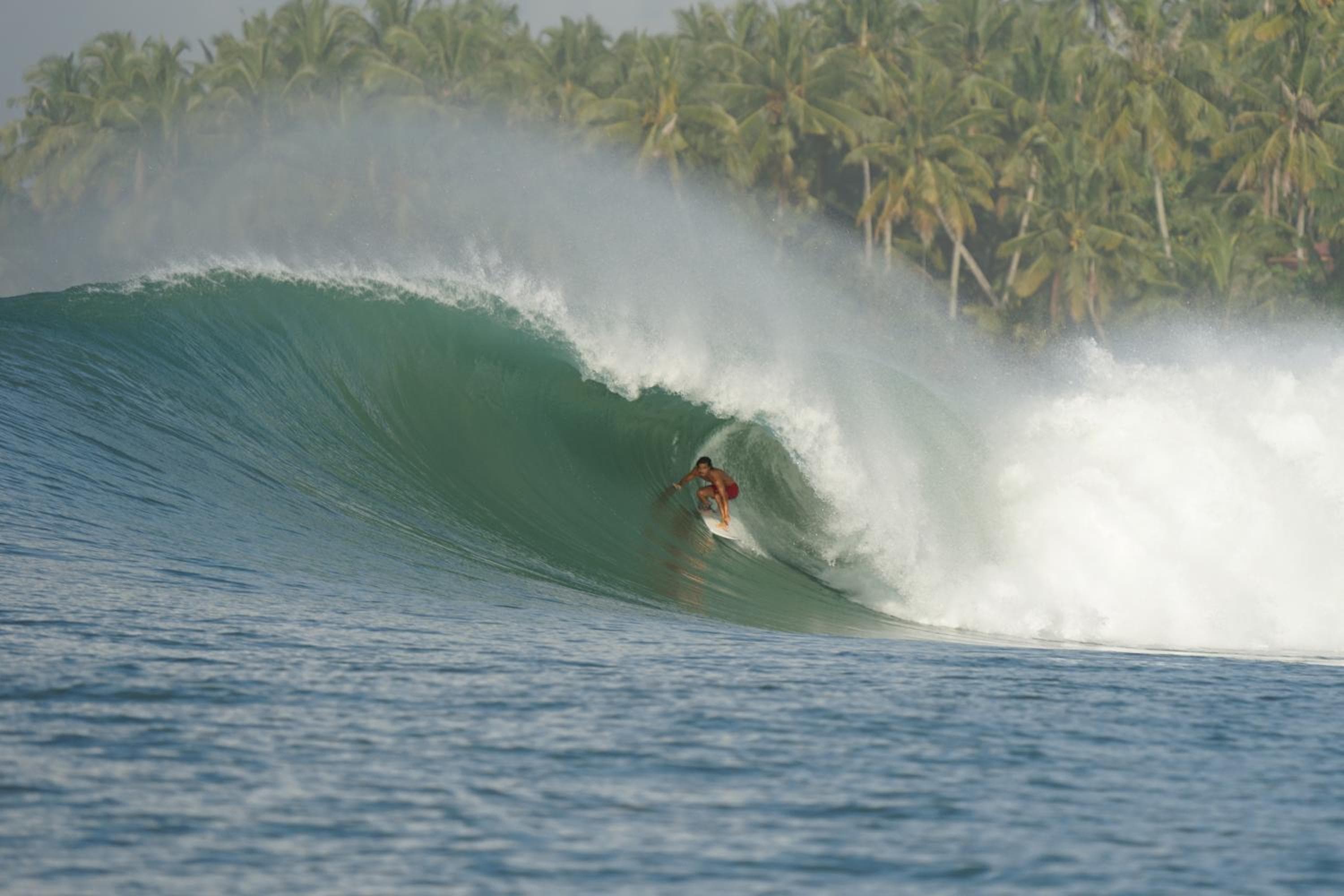 Lilys surf camp