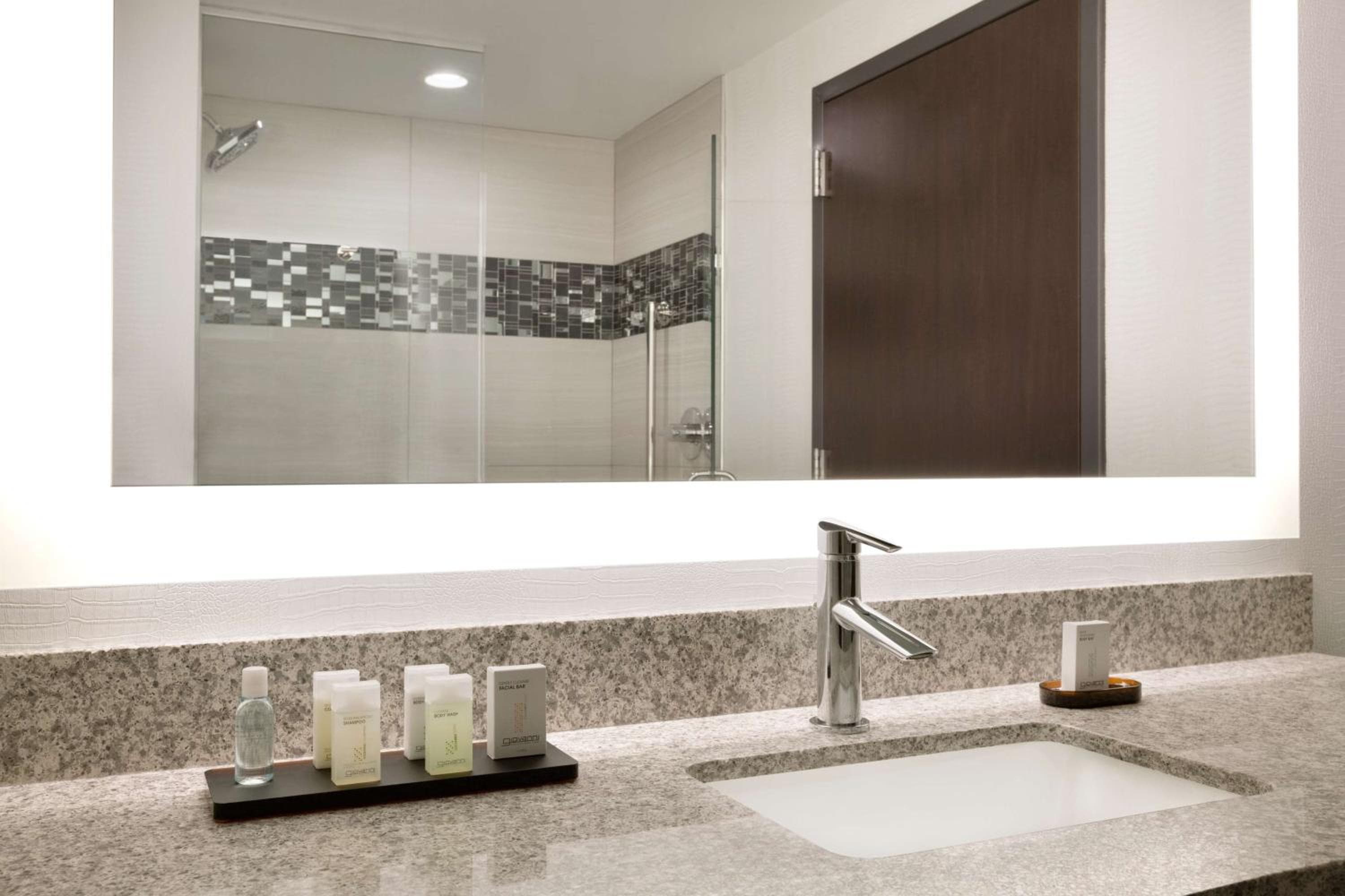 Embassy Suites by Hilton Atlanta NE Gwinnett Sugarloaf