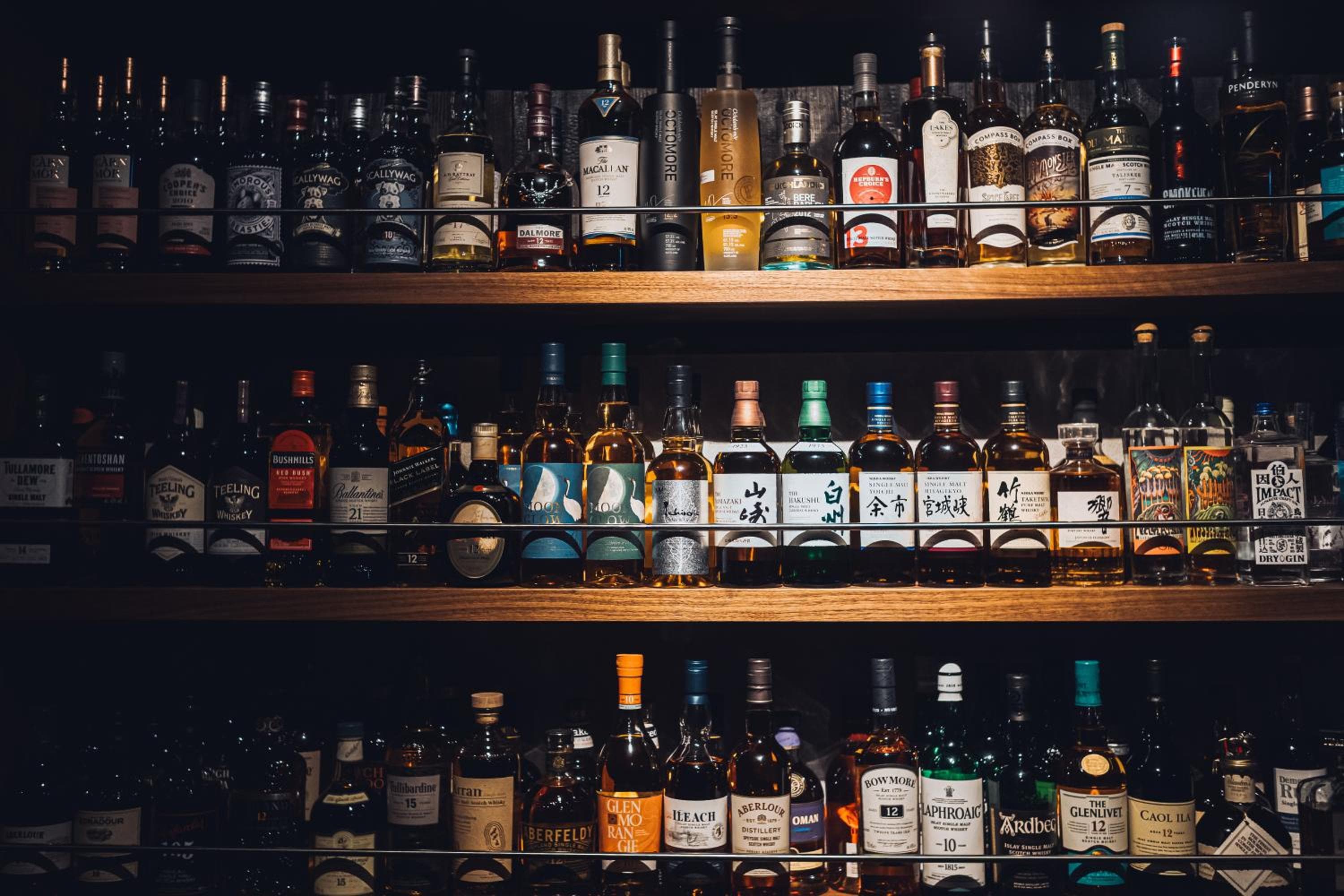 root hakone Bar & Guesthouse