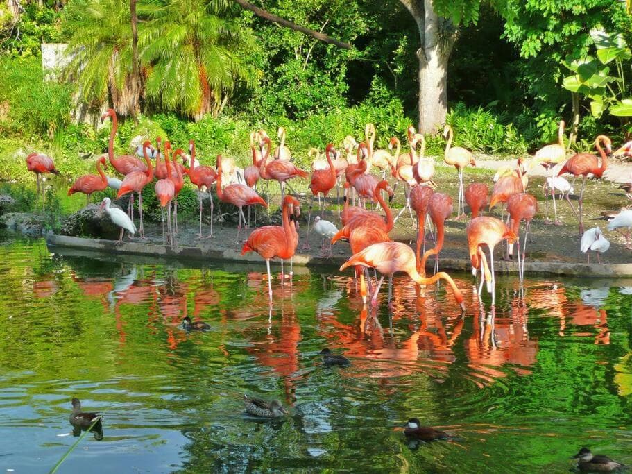 ! Espectacular casa del bosque !
