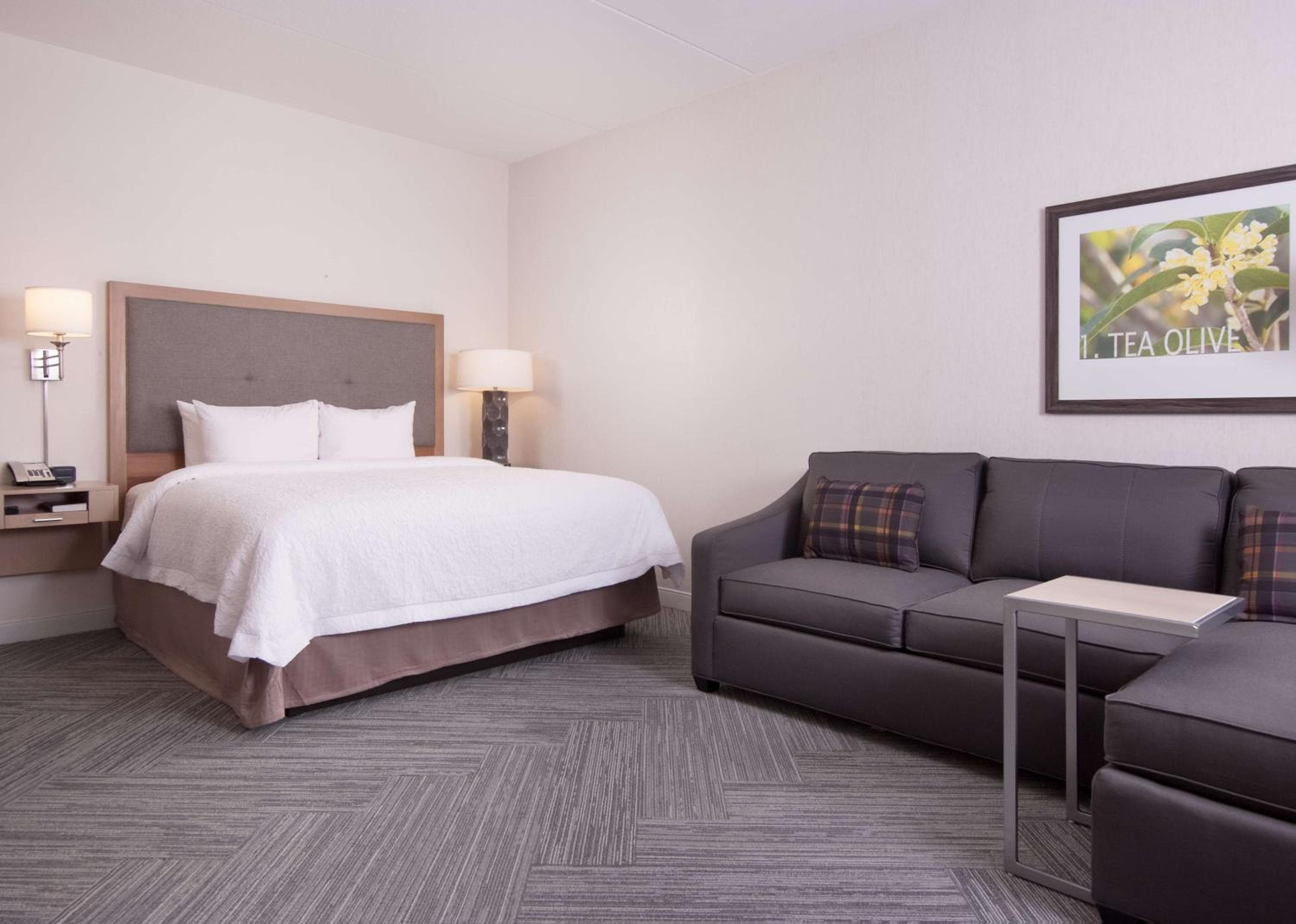 Hampton Inn & Suites by Hilton Augusta-Washington Rd