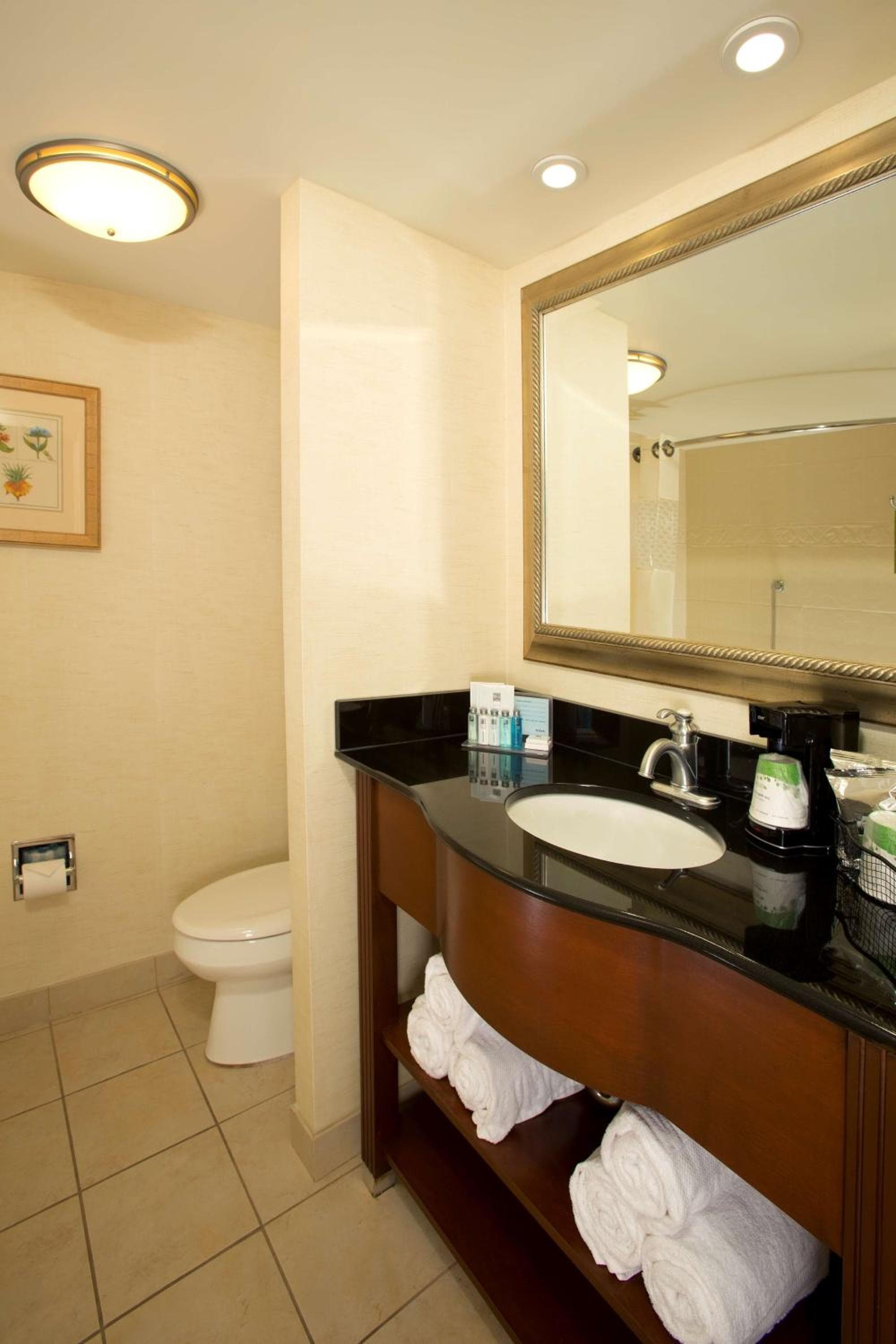 Hampton Inn Alexandria