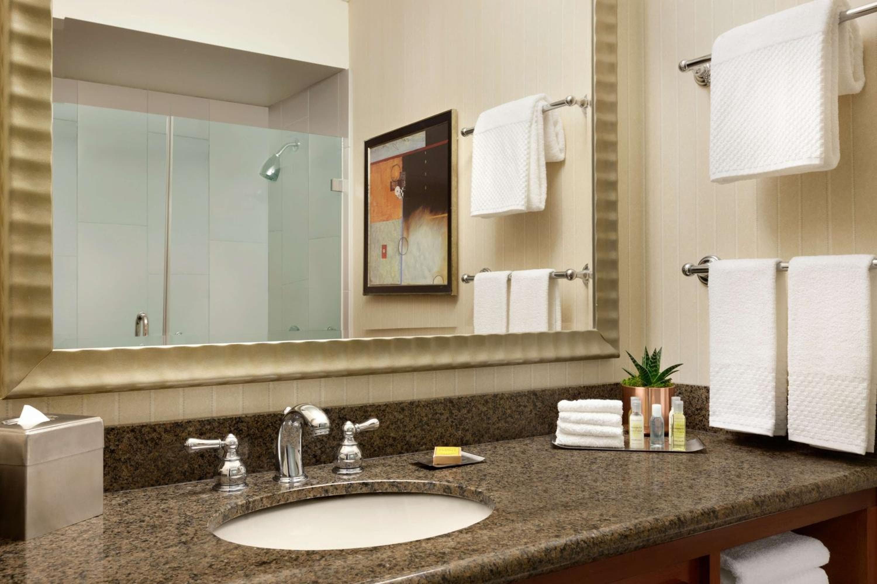 DoubleTree by Hilton Minneapolis Park Place