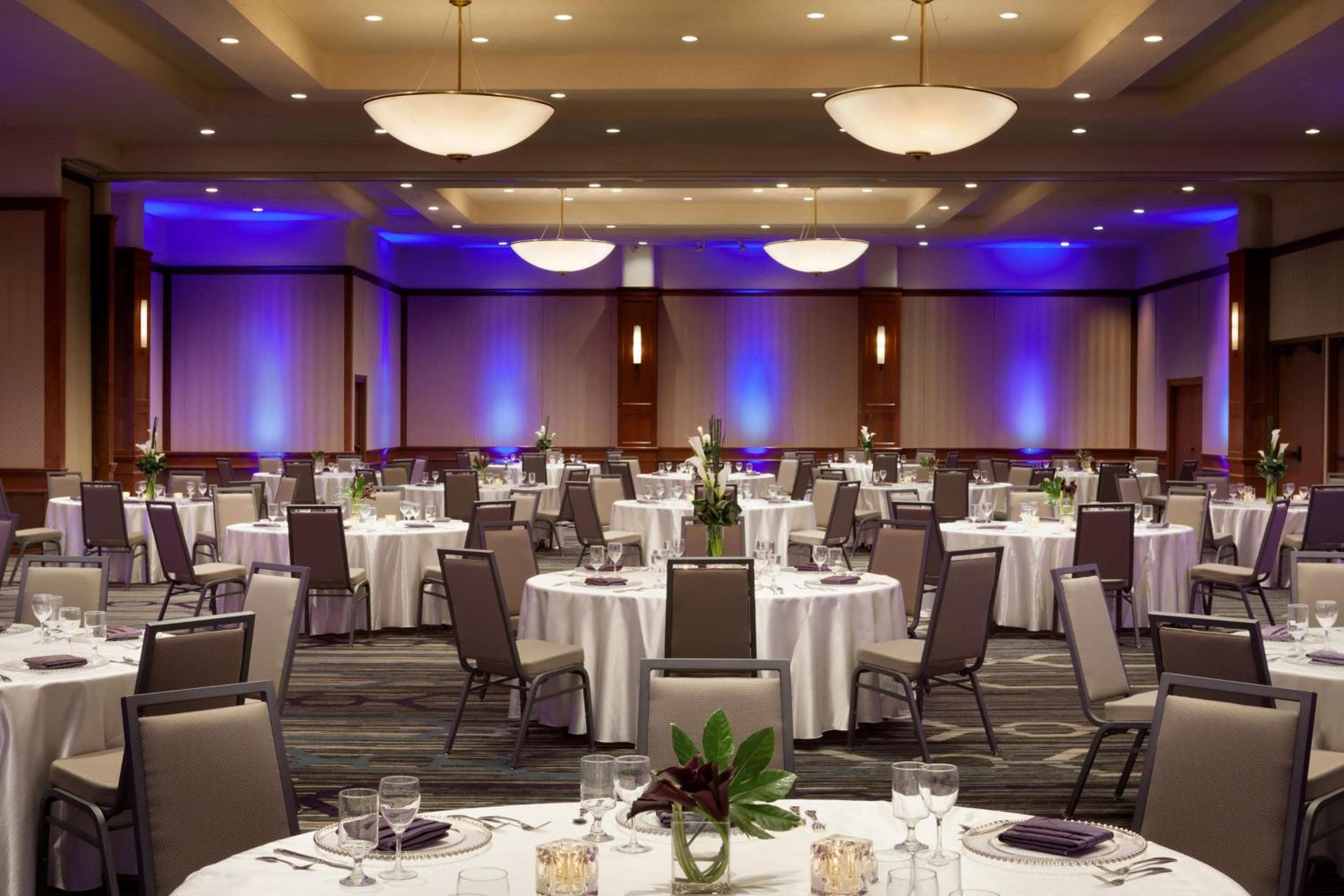 DoubleTree by Hilton Minneapolis Park Place
