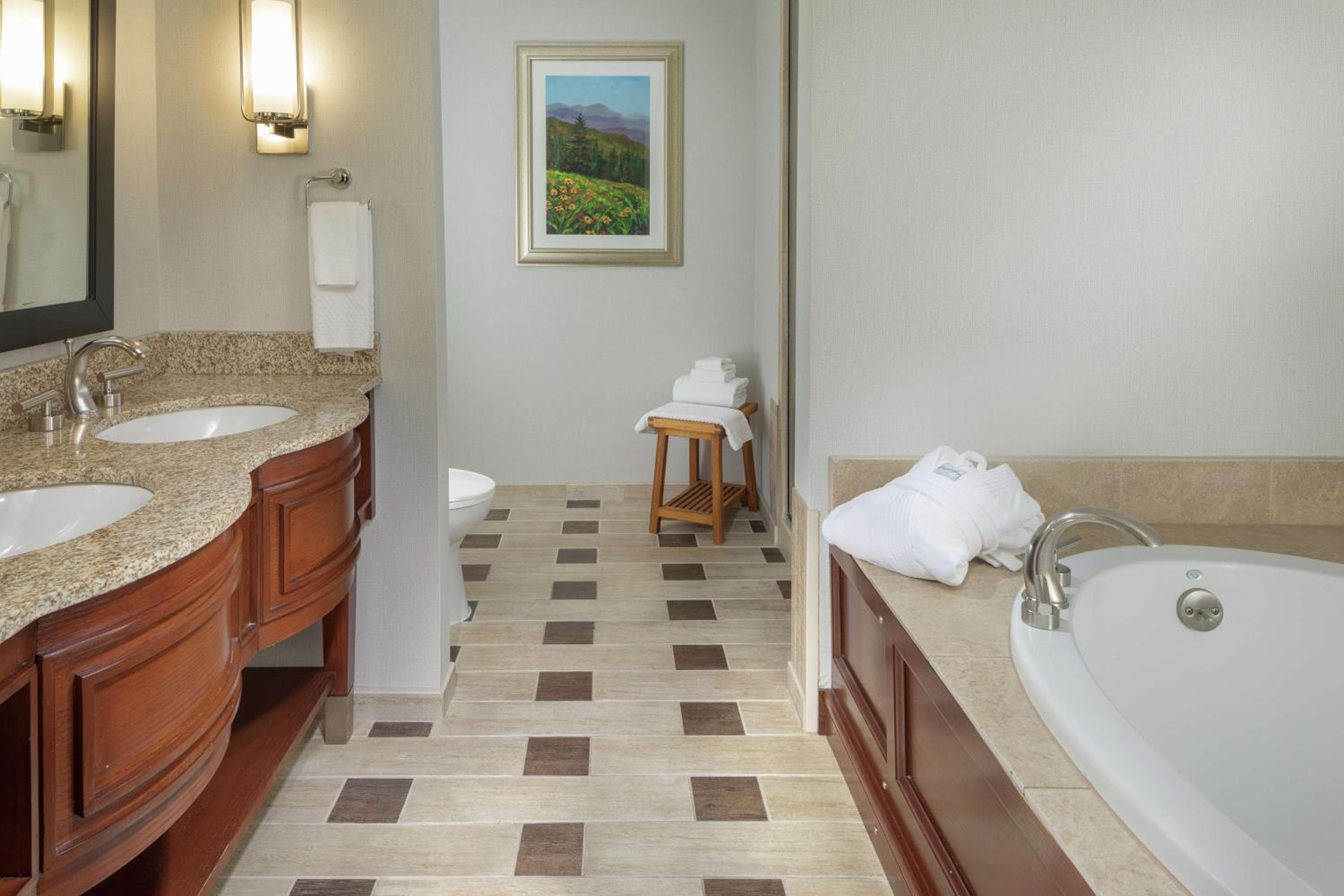 DoubleTree by Hilton Biltmore/Asheville