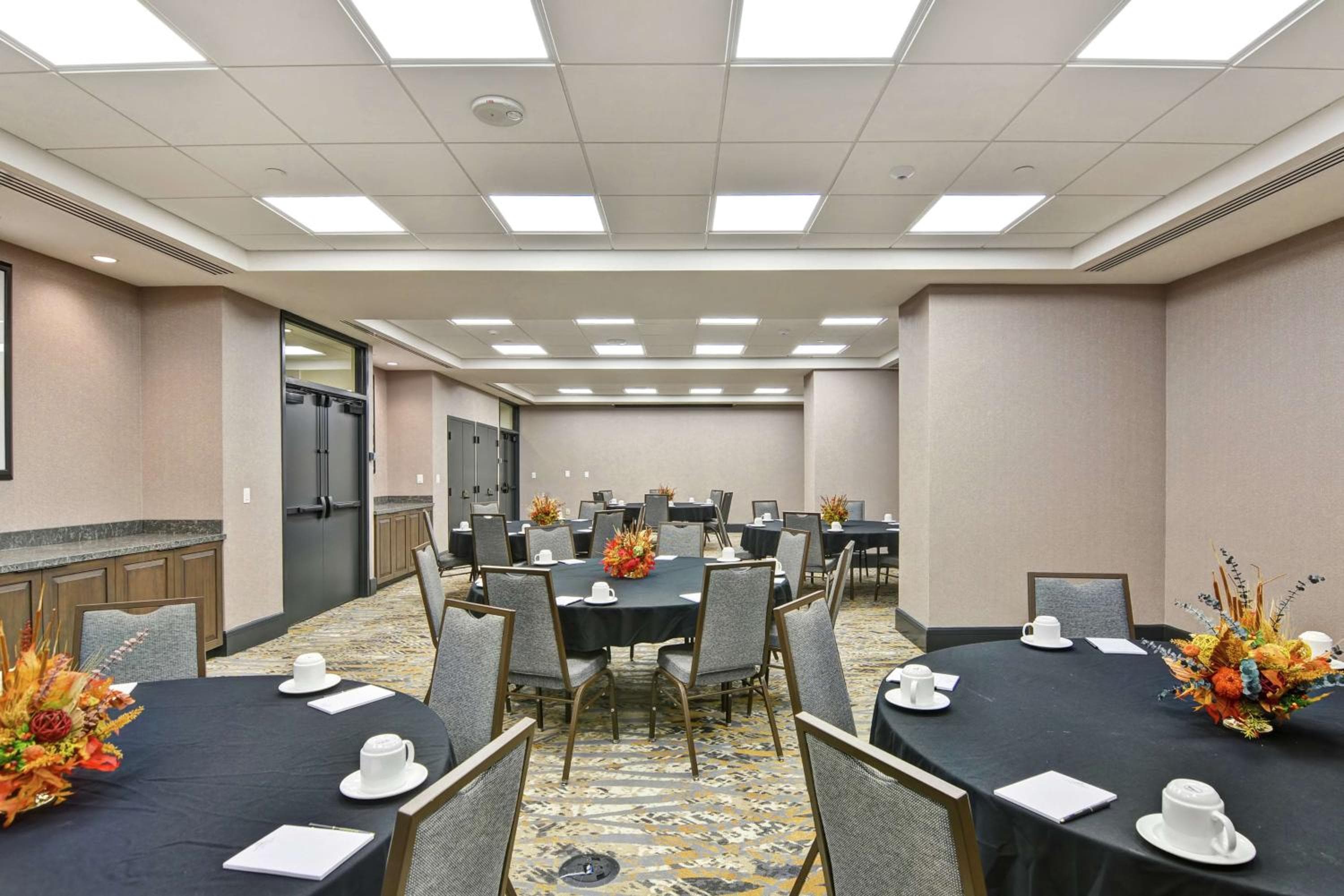 The Cincinnatian Curio Collection by Hilton