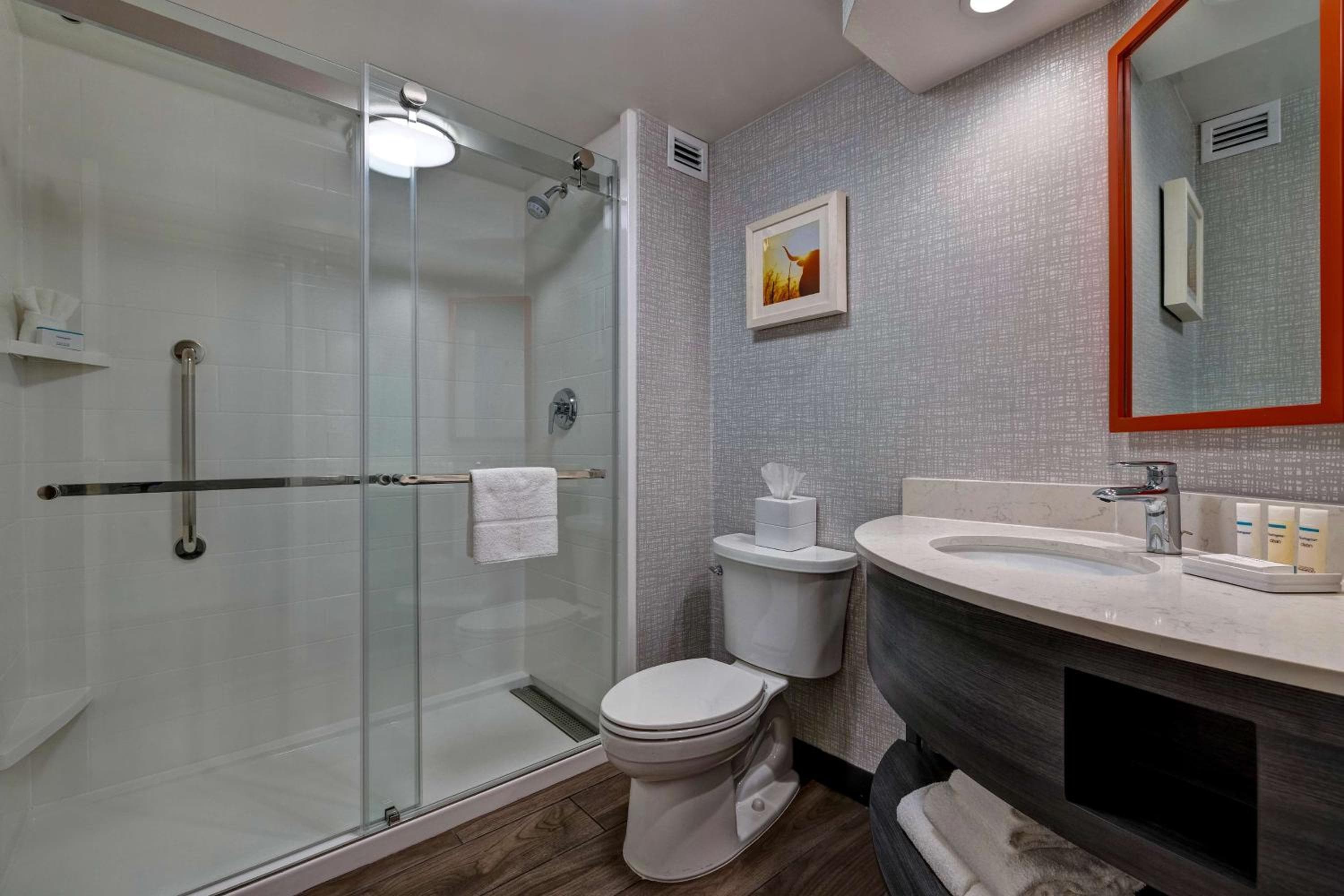 Hampton Inn San Antonio Downtown