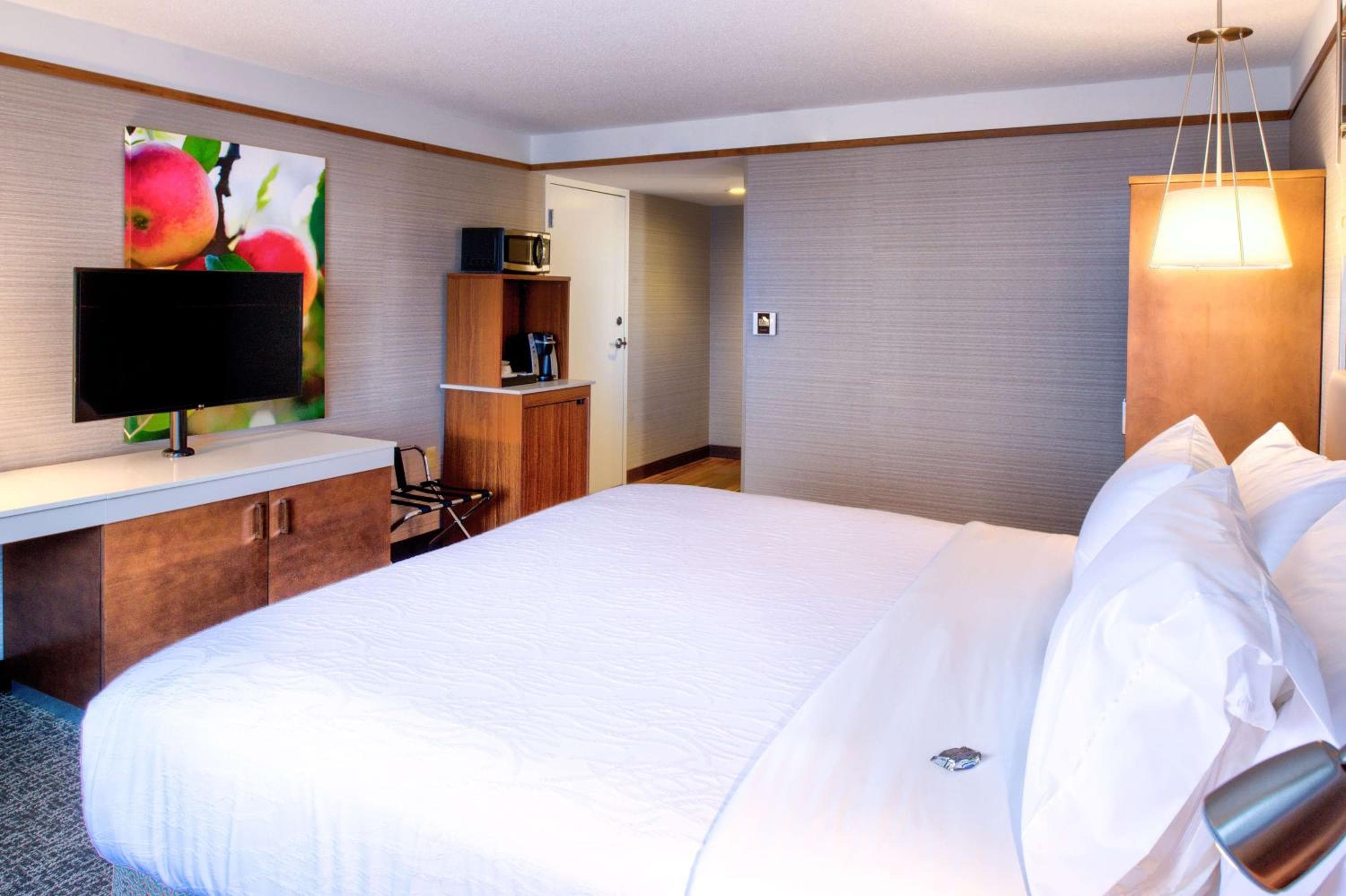 Hilton Garden Inn Detroit Southfield