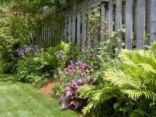 Antique Slumber Old Town Bed & Breakfast