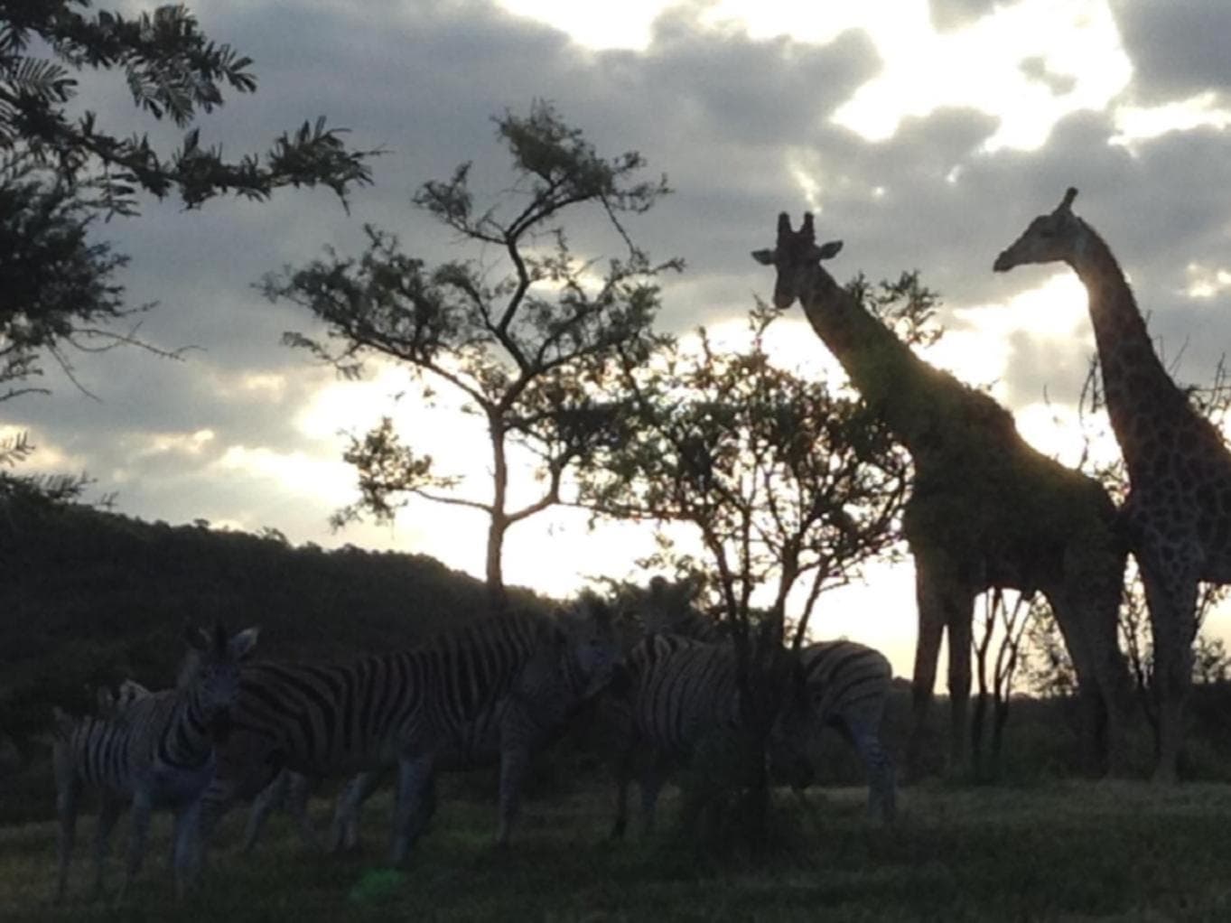 Khululeka Safaris Lodge